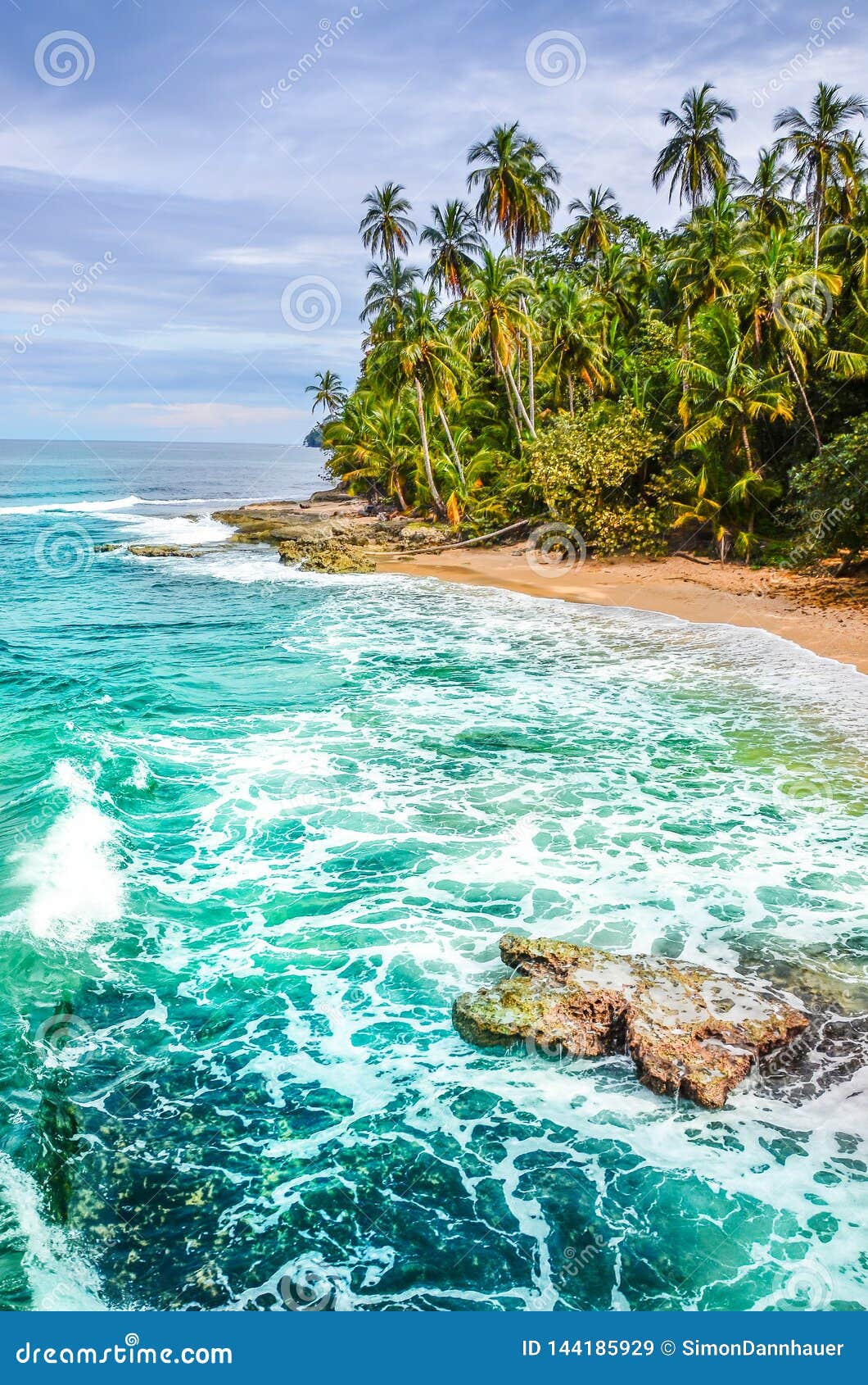 Wild Caribbean Beach of Costa Rica - Manzanillo Stock Image - Image of ...