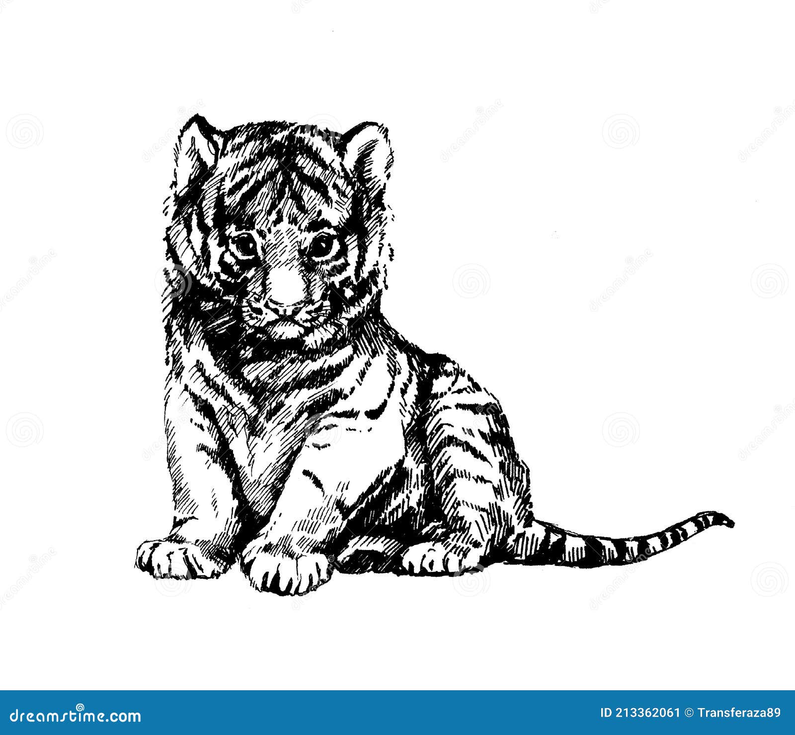 Wild Cats Illustration Kitten Tiger Cub Stock Illustration - Illustration of tattoo, sketch: 213362061 Wild Cats Illustration Kitten Tiger Cub Stock Illustration - Illustration of tattoo, sketch: 213362061