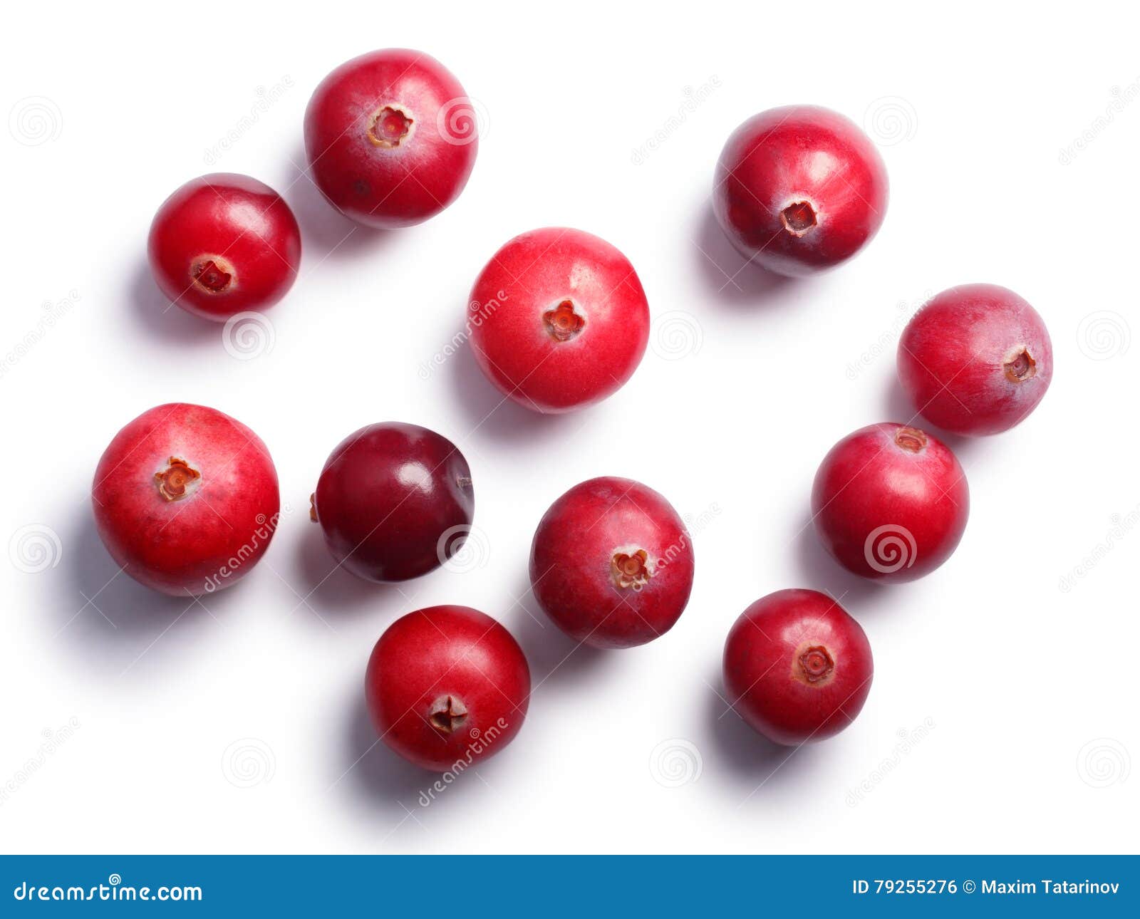 Wild Cranberries, Top View, Paths Stock Photo Image of redberry