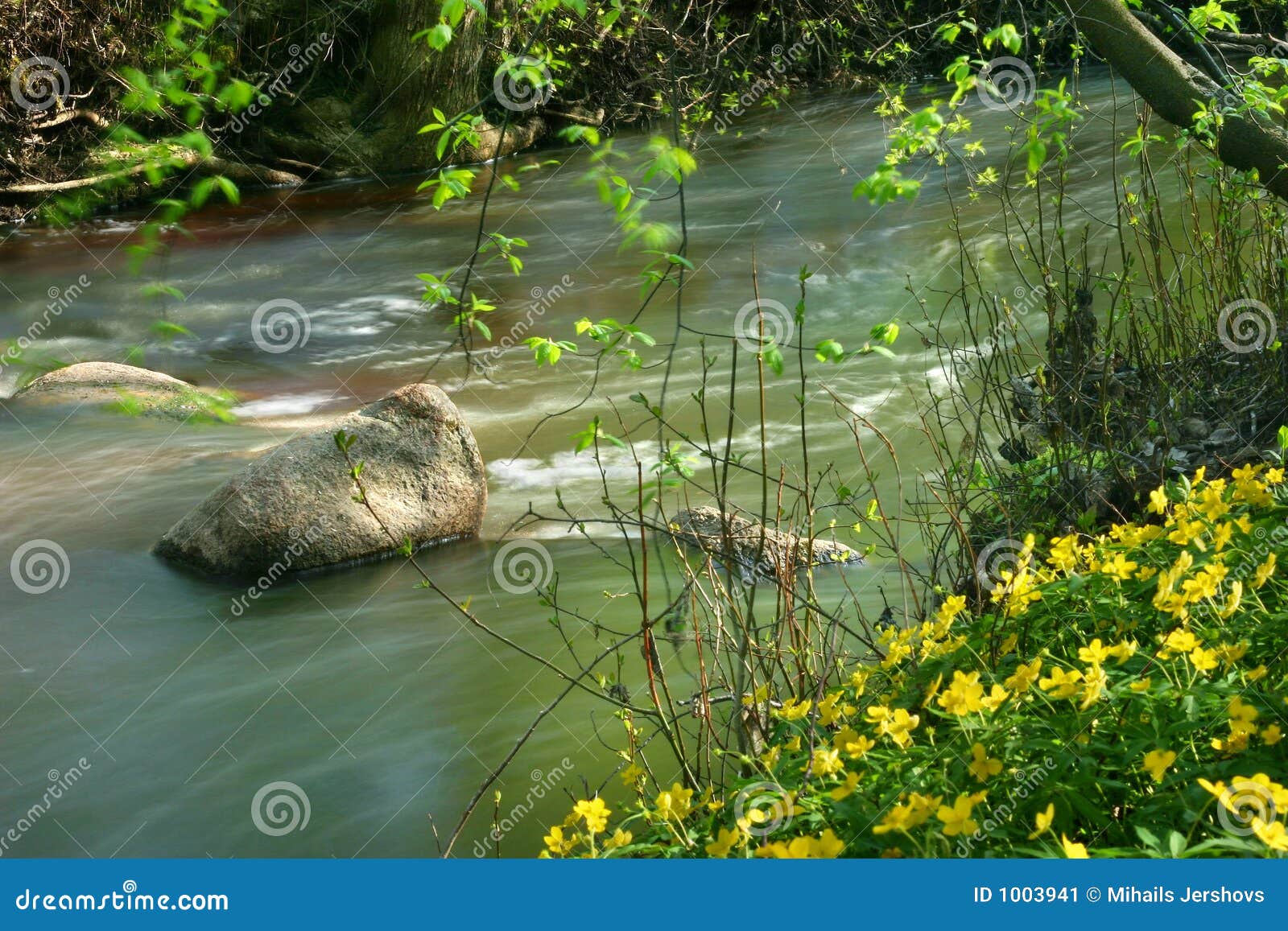 Wild creek stock image. Image of beam, landscape, plant 1003941