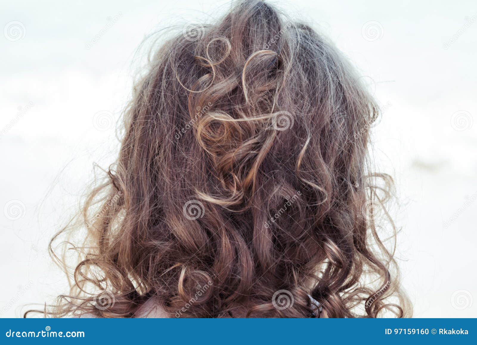 Wild Curly Blonde Tangled Hair Of A Toddler View From The Back Of