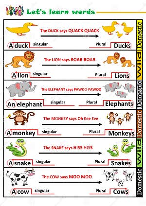 Plural Cartoons Illustrations Vector Stock Images 1302 Pictures To 