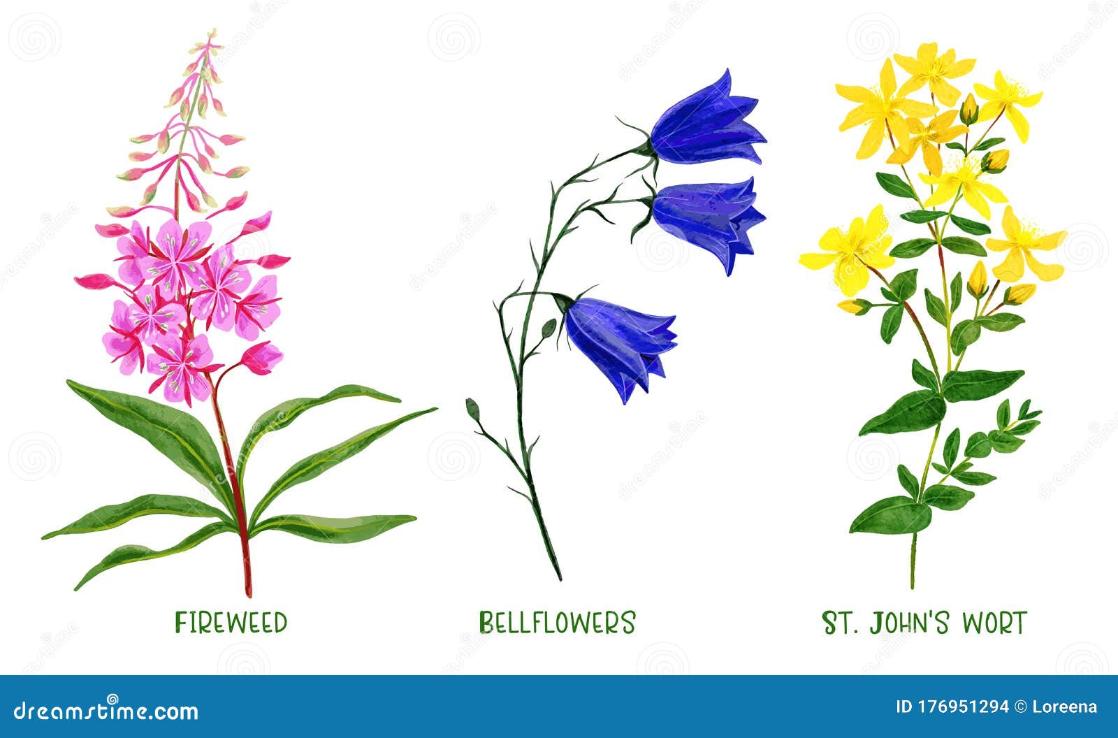 2,500+ Bell Flower Drawing Illustrations, Royalty-Free Vector Graphics &  Clip Art - iStock