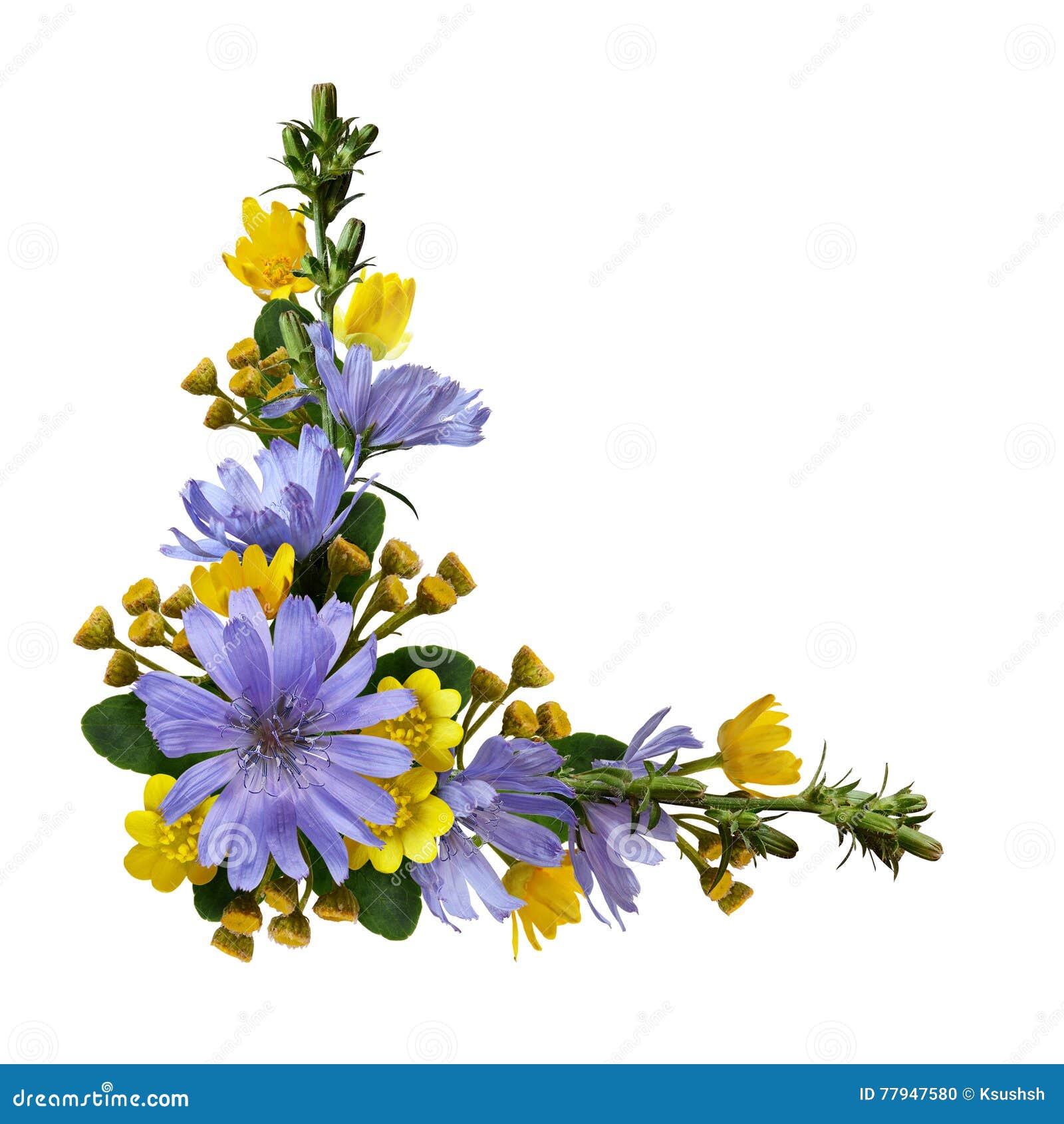 Wild Flowers in a Corner Arrangement Stock Photo Image of blue