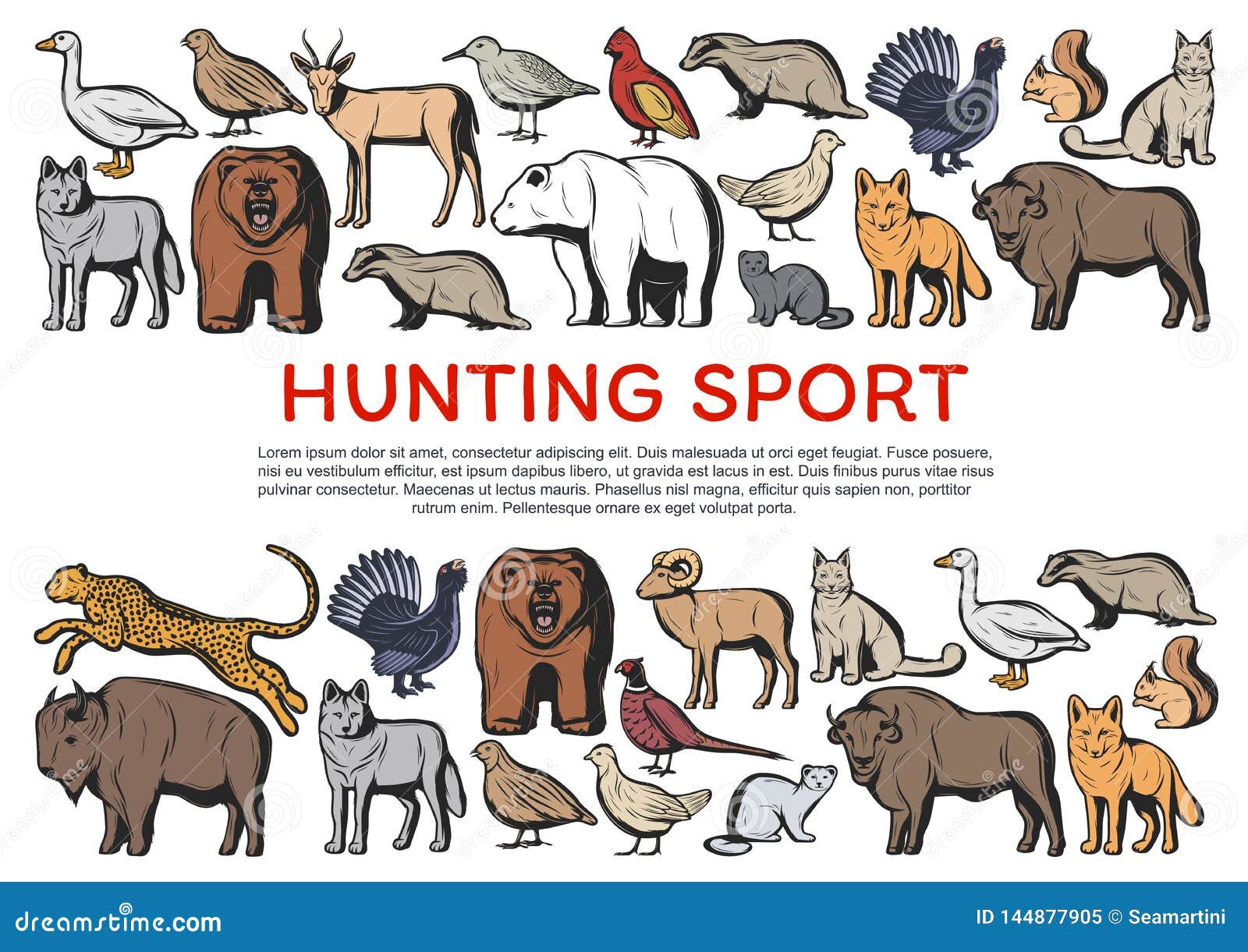 Wild Forest Animals and Birds. Hunting Sport Stock Vector - Illustration of  grouse, animal: 144877905