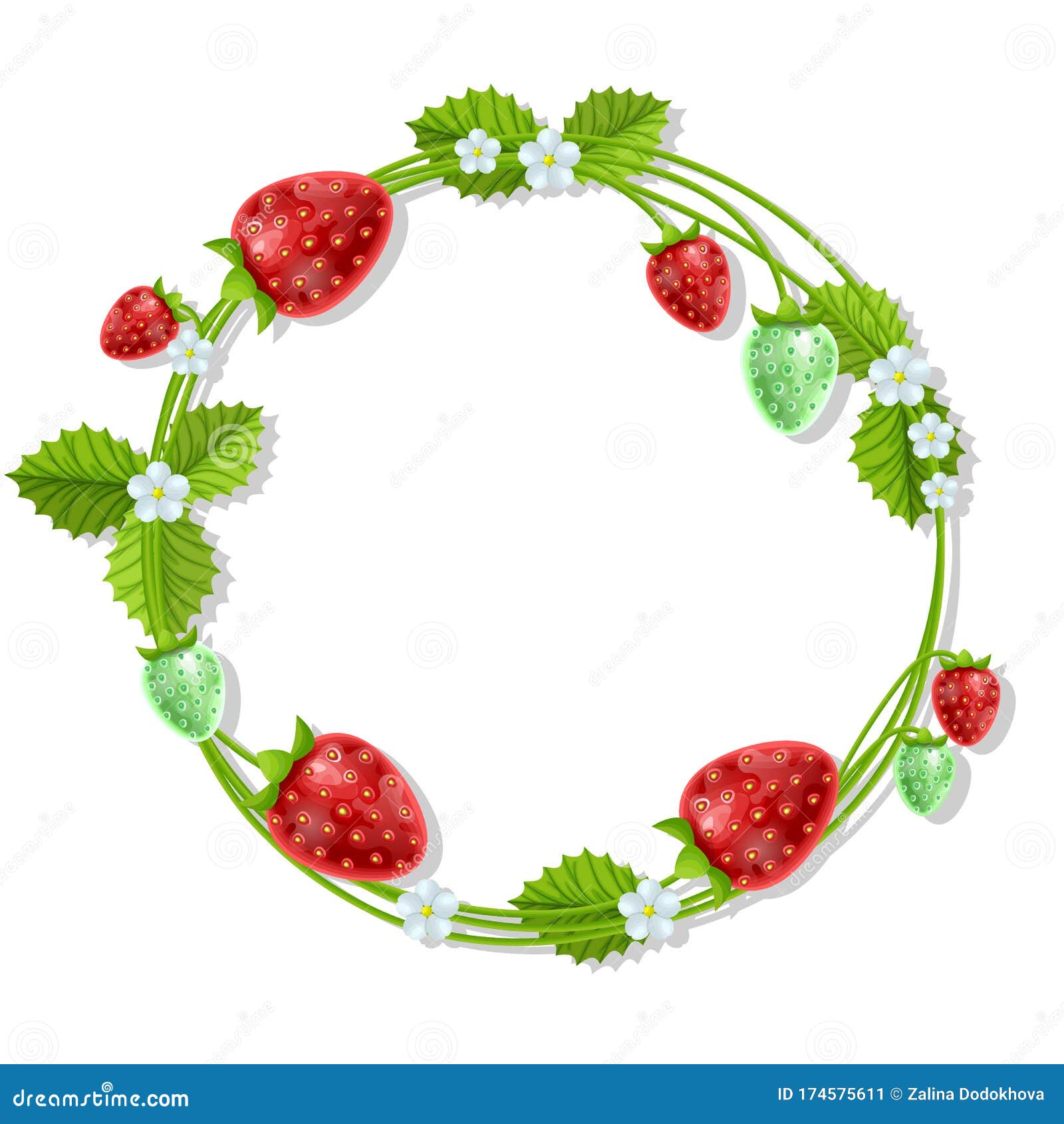 Download Wild Forest Fruits On Wreath, Circle Frame From ...