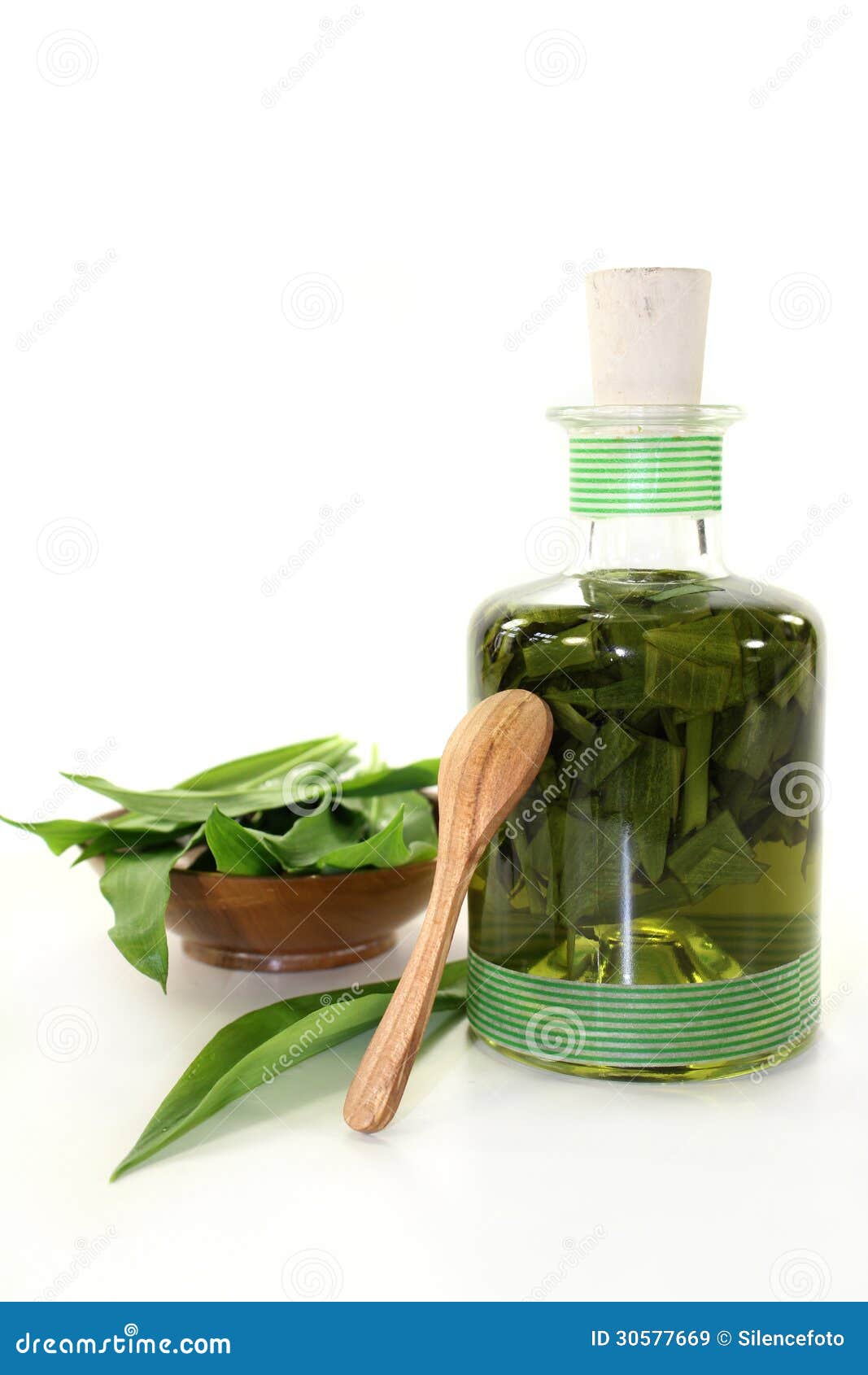 Wild garlic tincture stock image. Image of spoons, ingredients 30577669