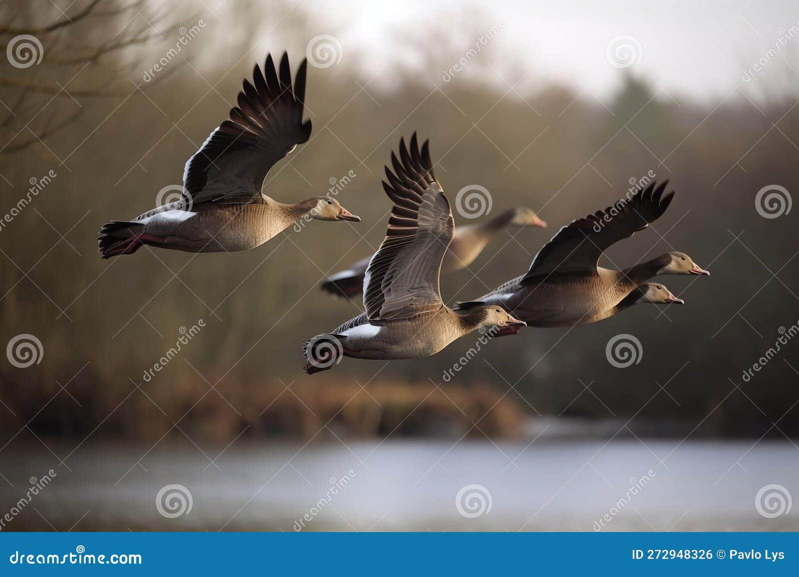 Wild Geese are Flying. AI Generated Stock Illustration Illustration