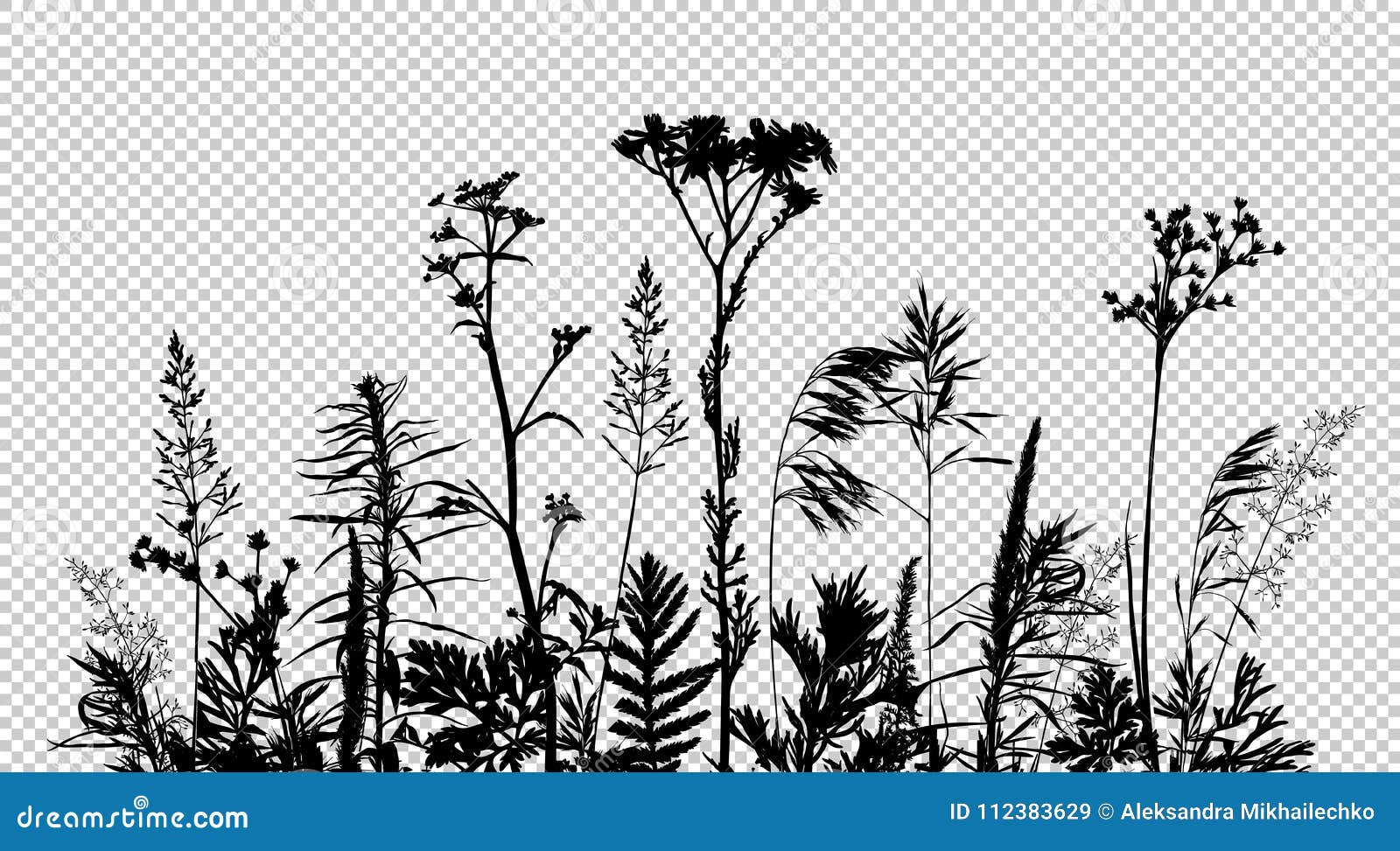 Wild Flowers Vector Collection Herbs Herbaceous Stock Vector (Royalty Free)  2111665205