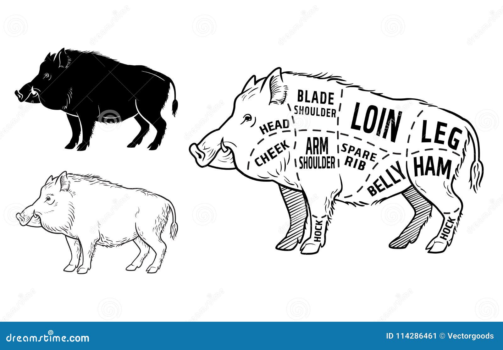 Wild Game Meat Cutting Chart