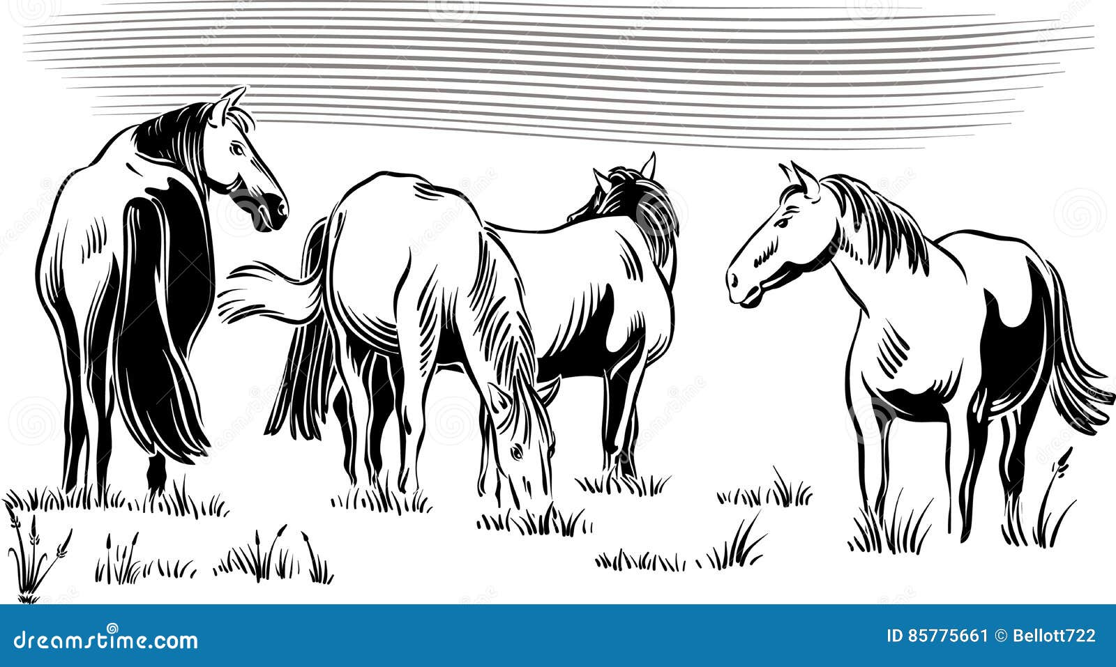 Wild horses grazing. stock illustration. Illustration of graze 85775661