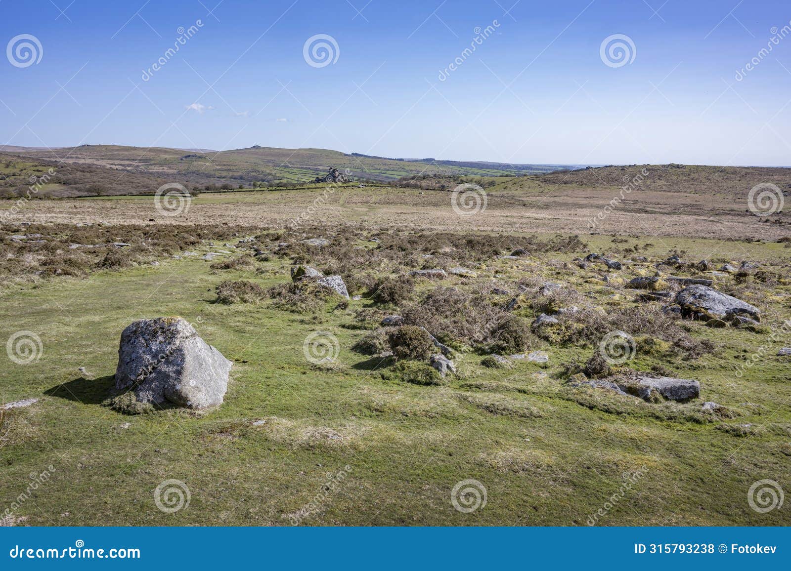 wild landscape near vixen tor on dartmoor
