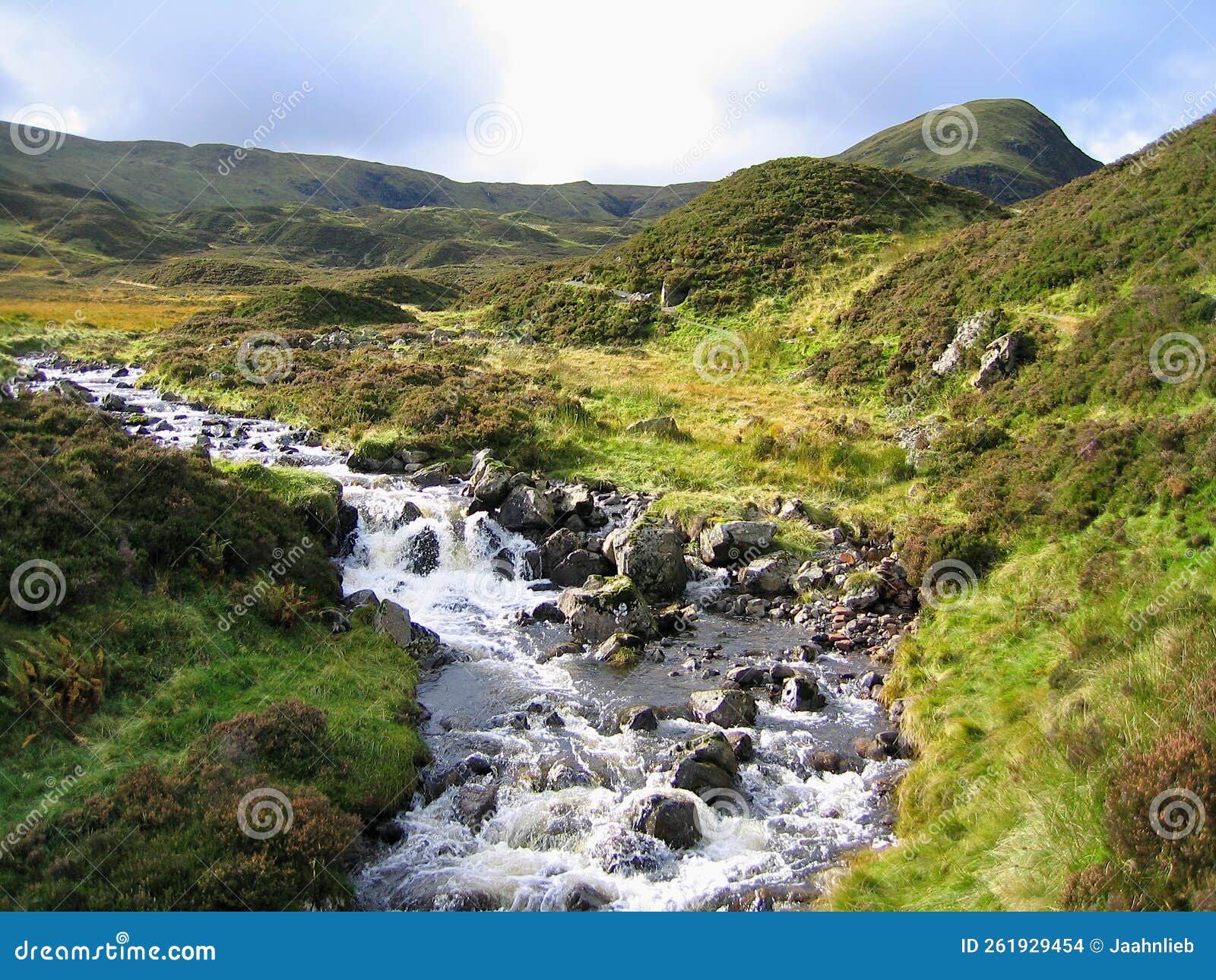 wild mountain creek between loch skeen and grey mare`s tail waterfall in scotland, great britain
