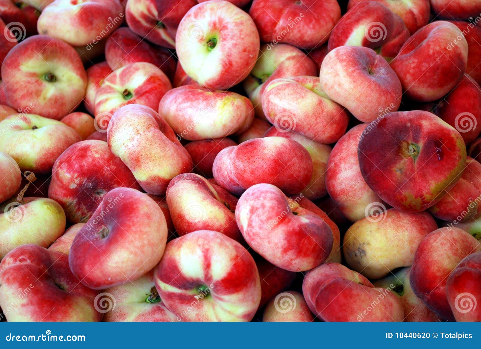 Wild peaches stock photo. Image of vineyard, juicy, market 10440620