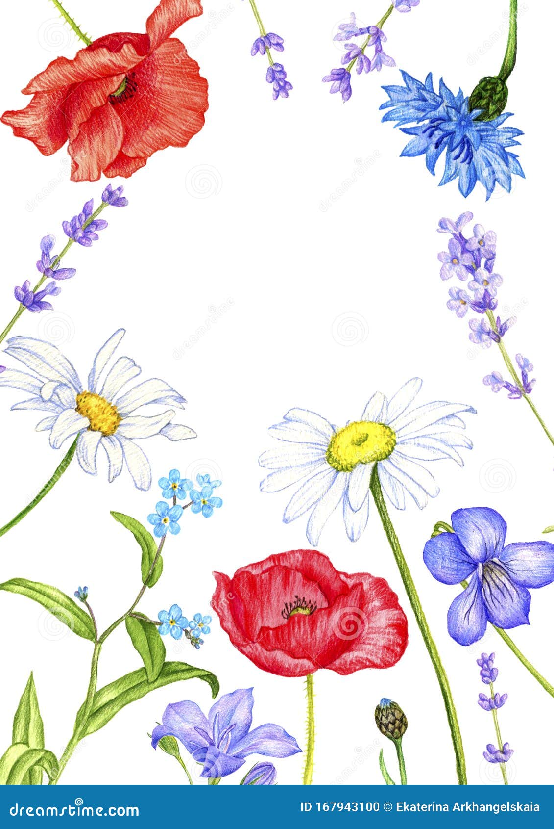 Color pencil drawing dotted daisy flower Vector Image