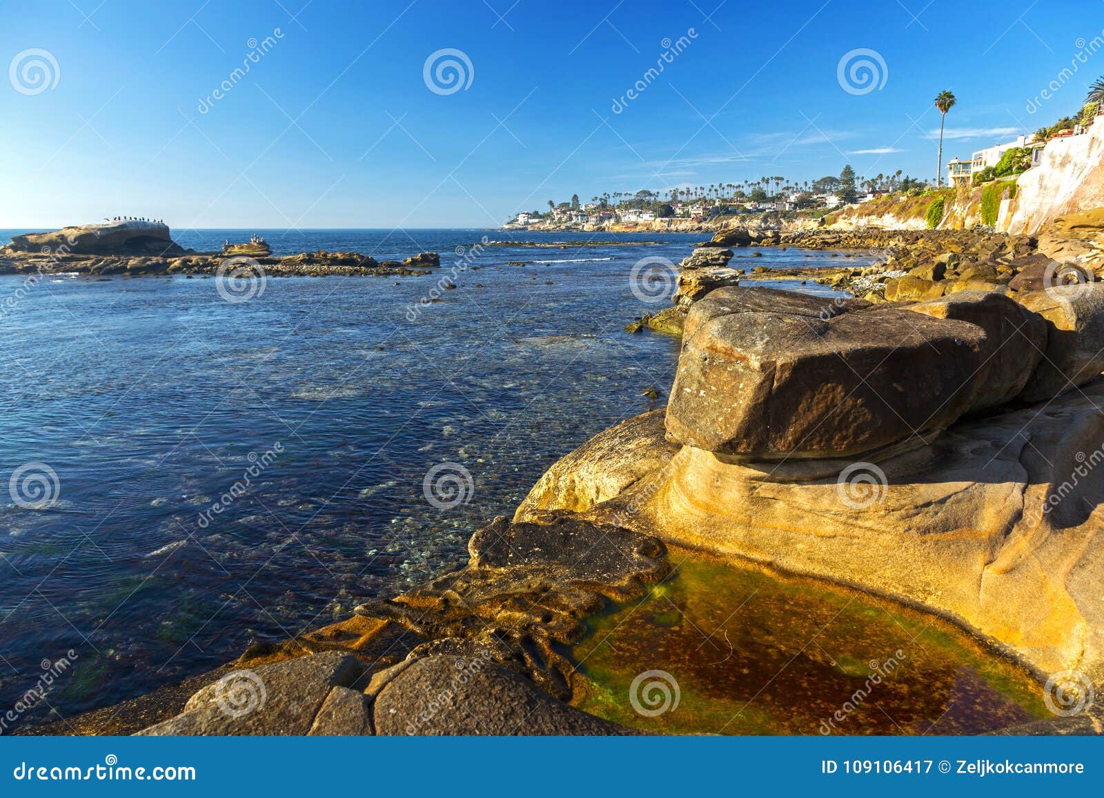 Bird Rock Pacific Ocean Coastline San Diego California Stock Image