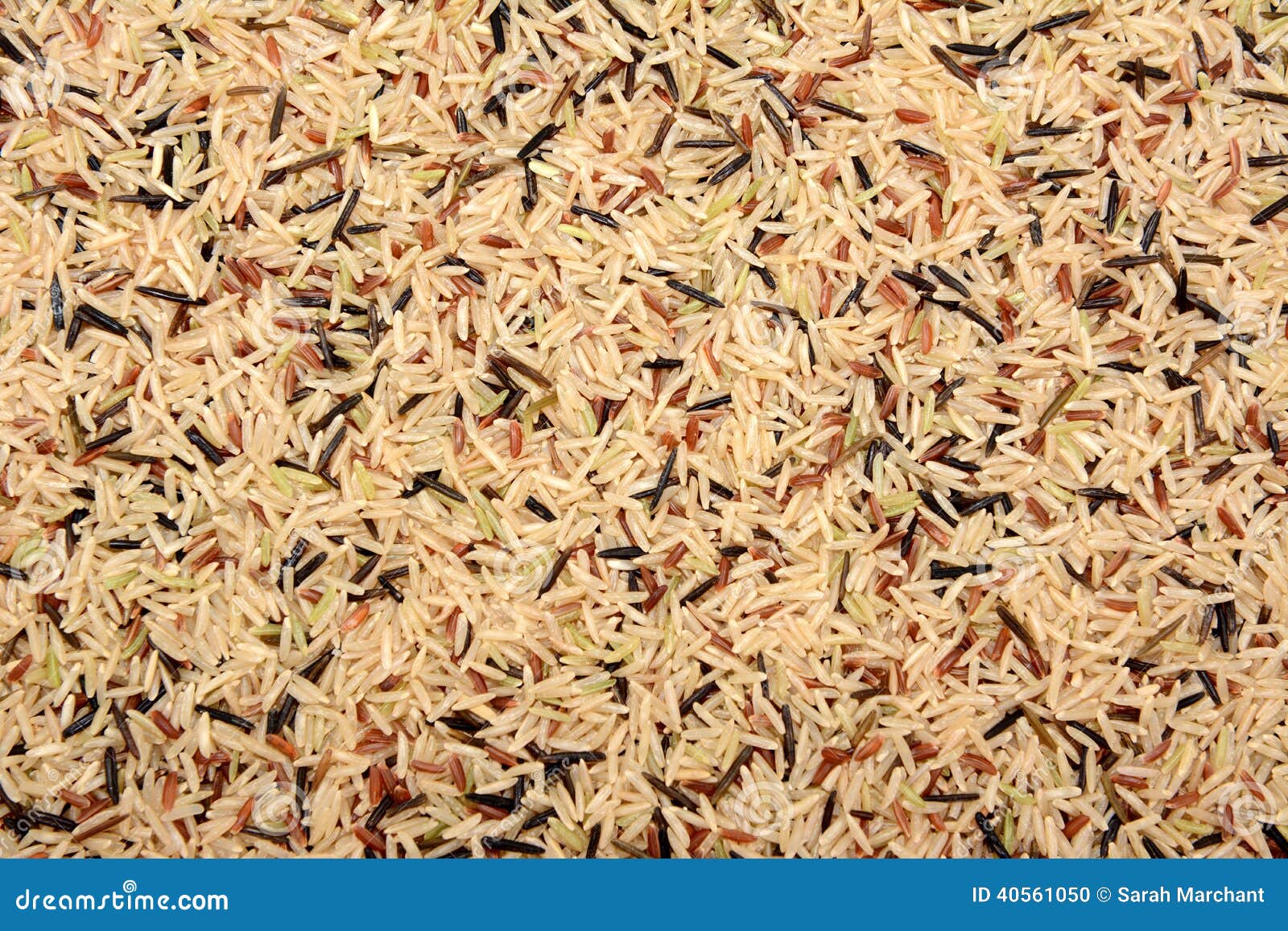 Wild Rice, Brown Basmati and Red Camargue Background Stock Photo