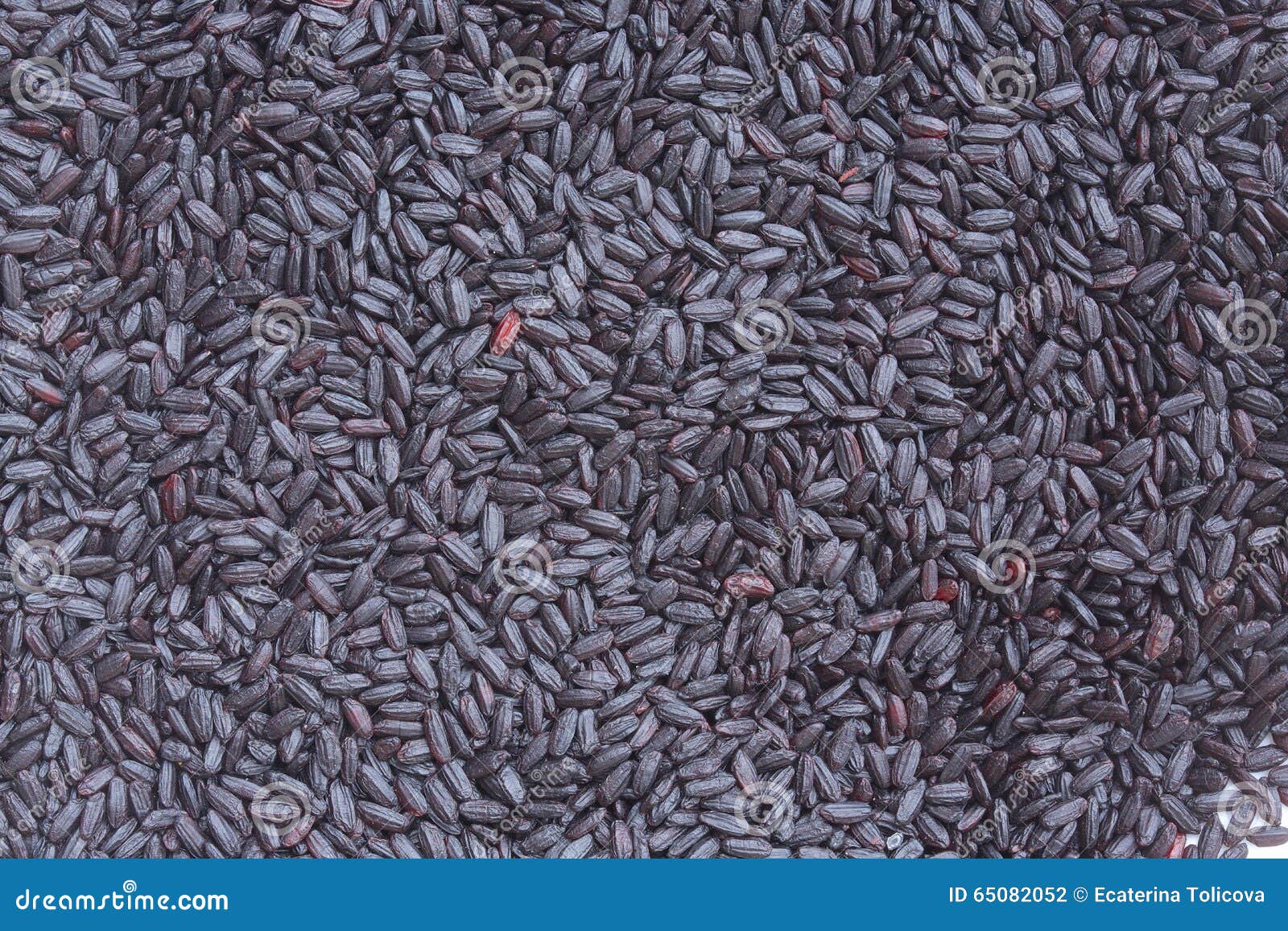 Wild rice grains. stock photo. Image of nutrient, protein 65082052