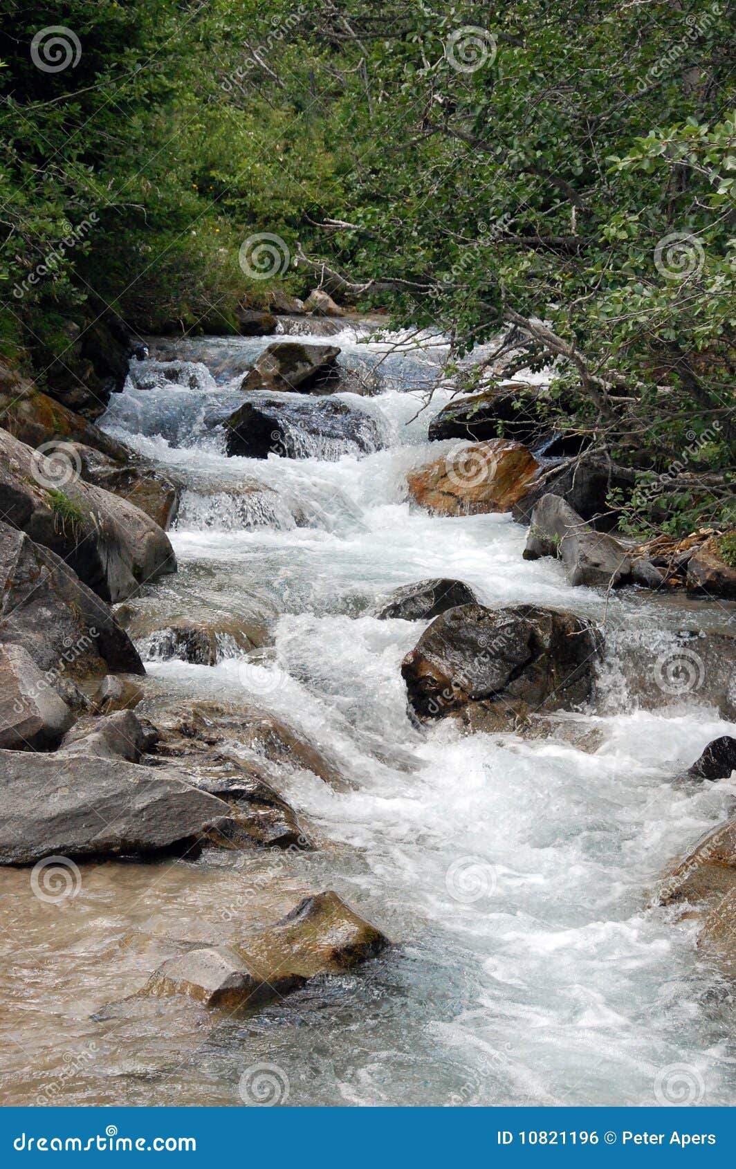 Wild river stock photo. Image of trees, mountains, wild 10821196