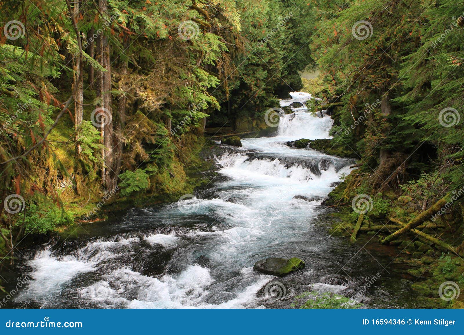 Wild river stock photo. Image of stream, mountains, forest 16594346