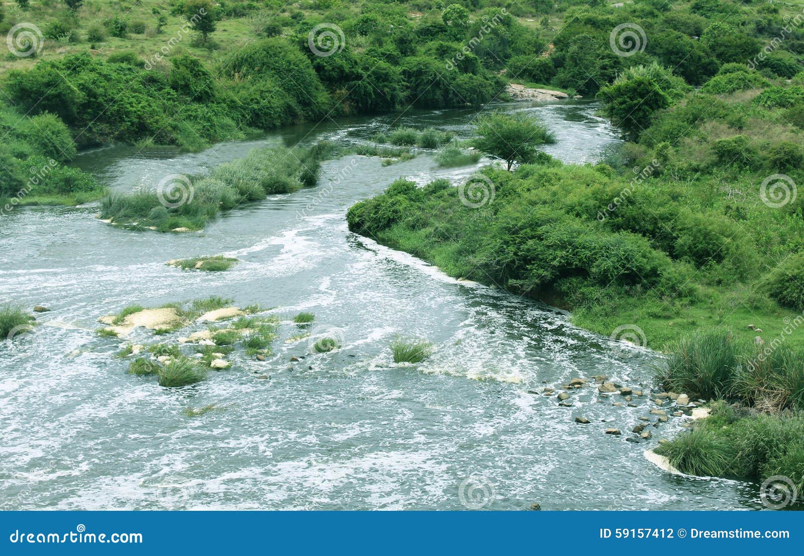 Wild river stock photo. Image of nature, leaves, rapid 59157412