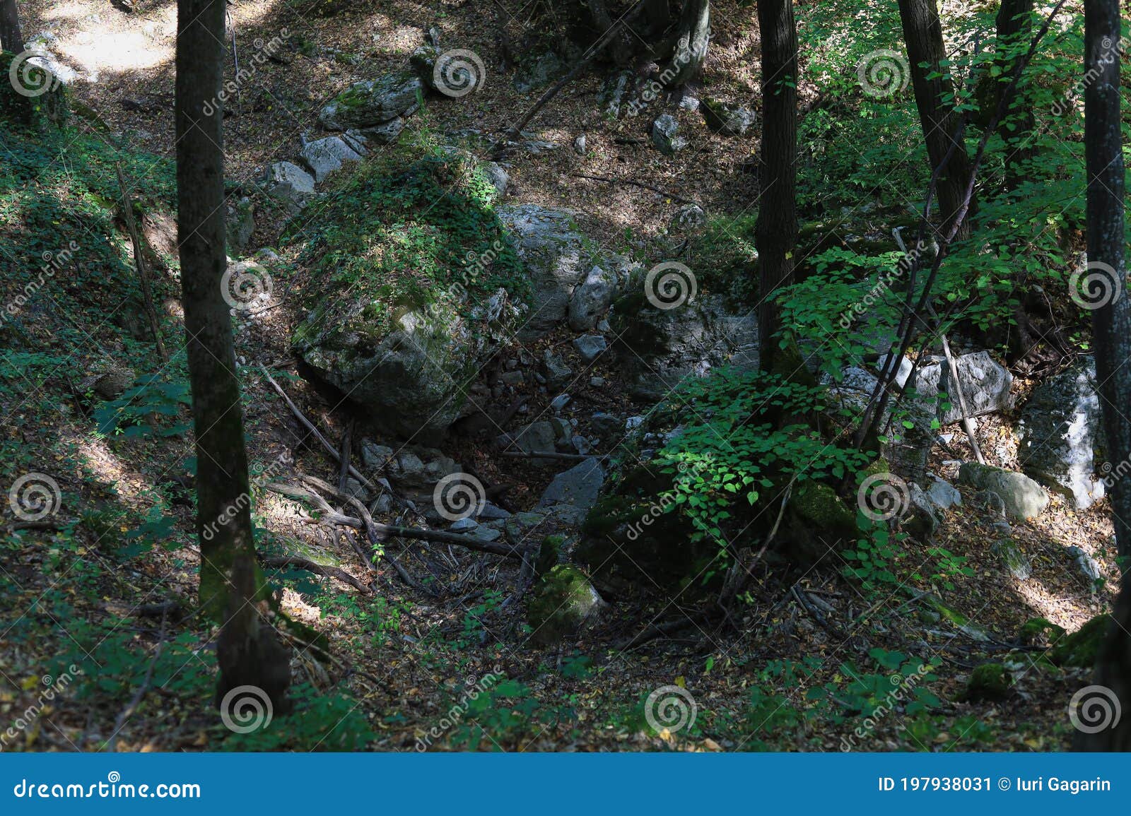 Wild Rocky Nature of Europe, Background Stock Image Image europe, norway: 197938031