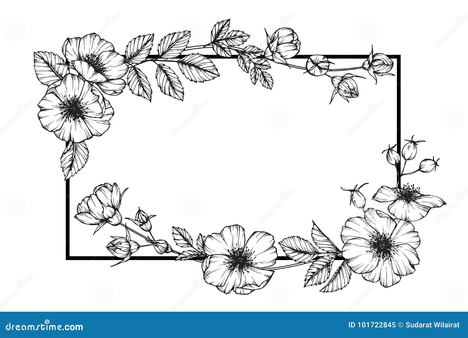 Autumn Leaf Drawing - Flower Plant Transparent PNG