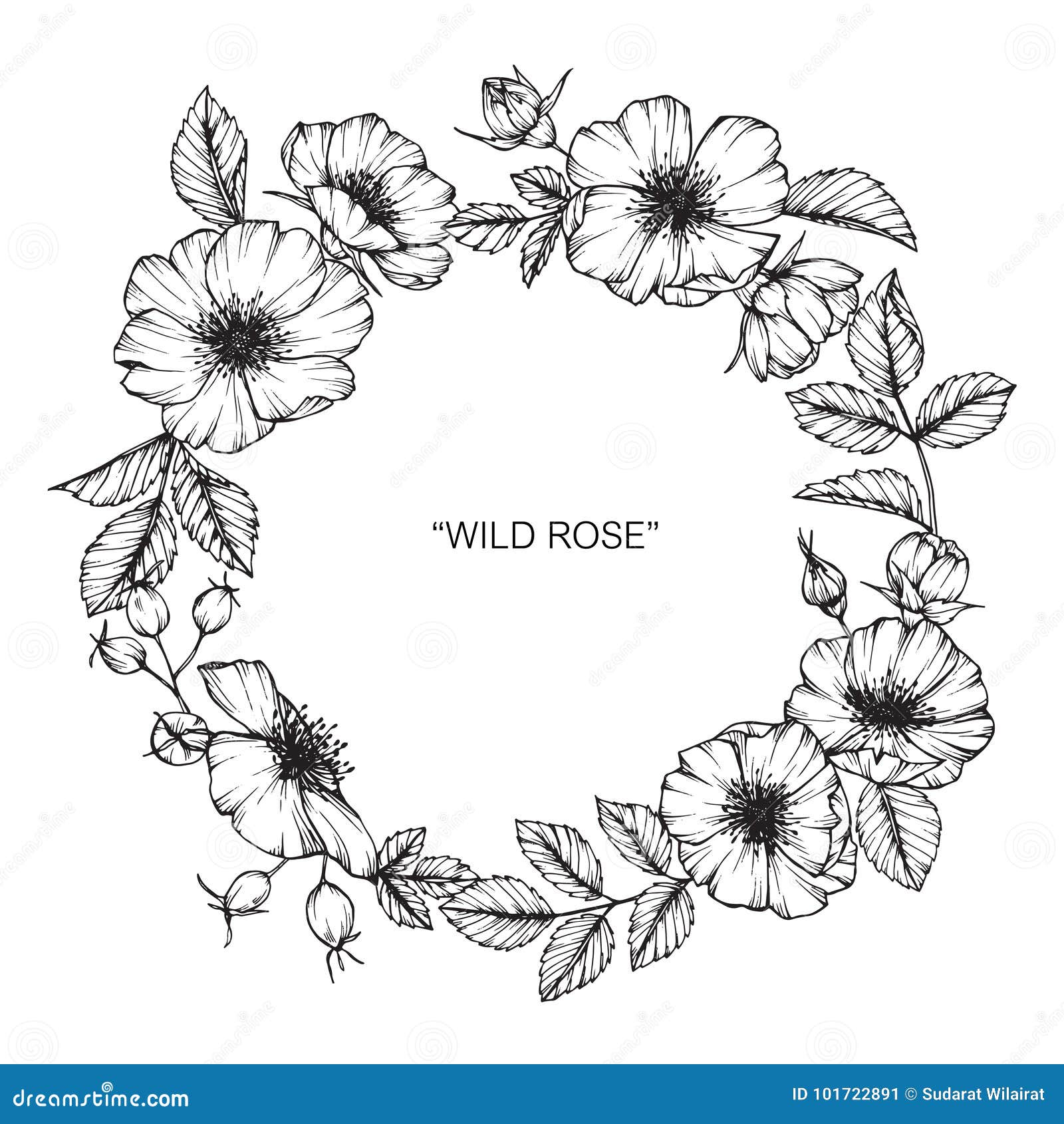 Sketch Rose Flower Set. Pencil sketch flowers with leaves on stem. Graphic  emblems. Hand-drawn contour lines and strokes Stock Vector Image & Art -  Alamy