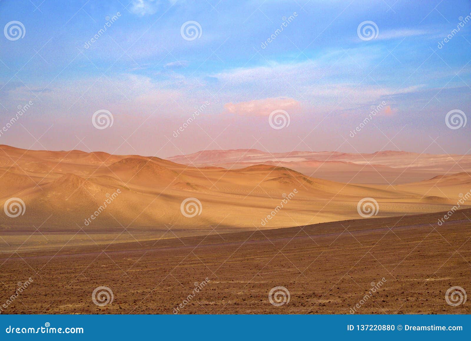 wild sandy and unexplored desert