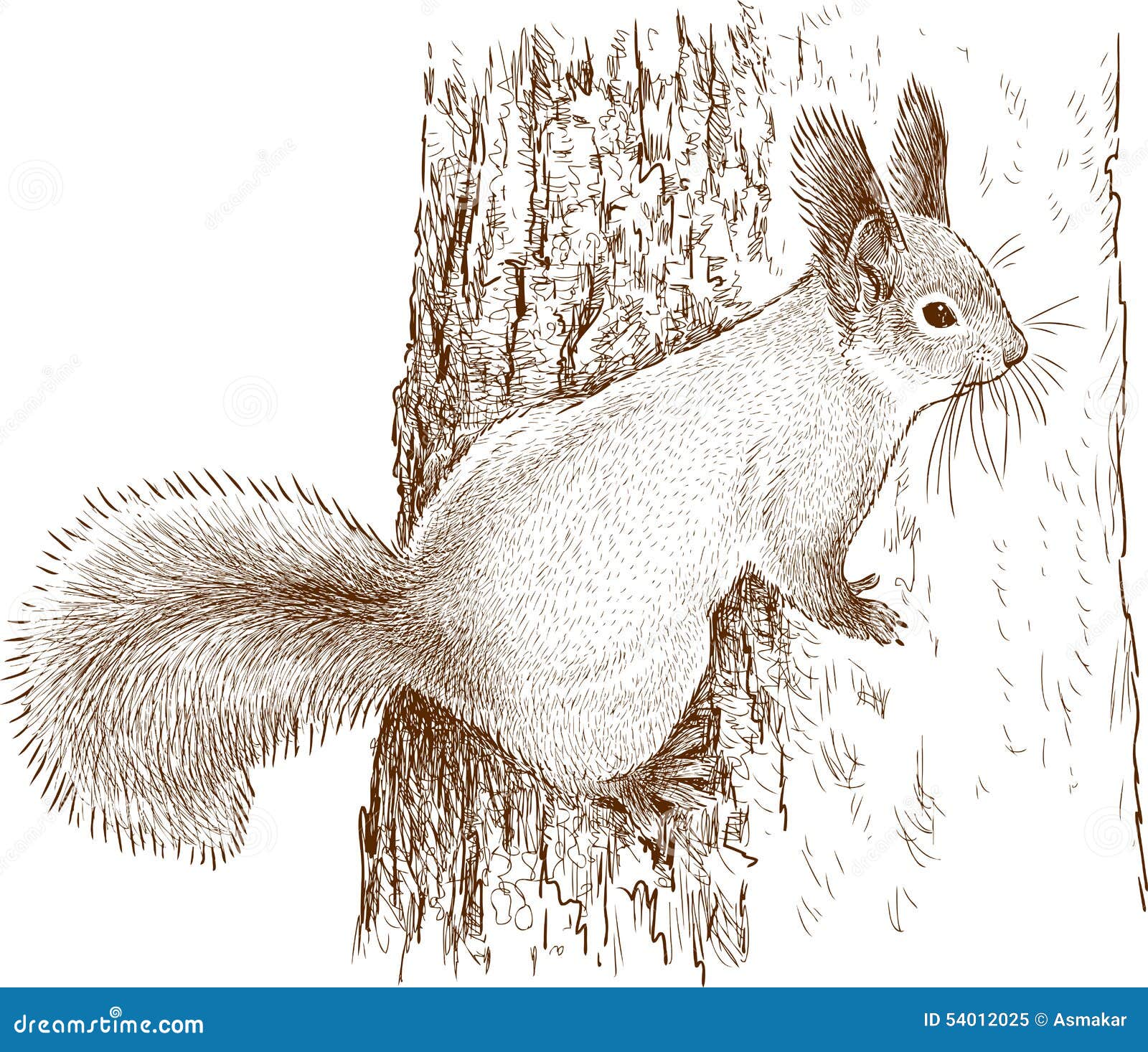 List 95+ Images how to draw a squirrel on a tree Sharp