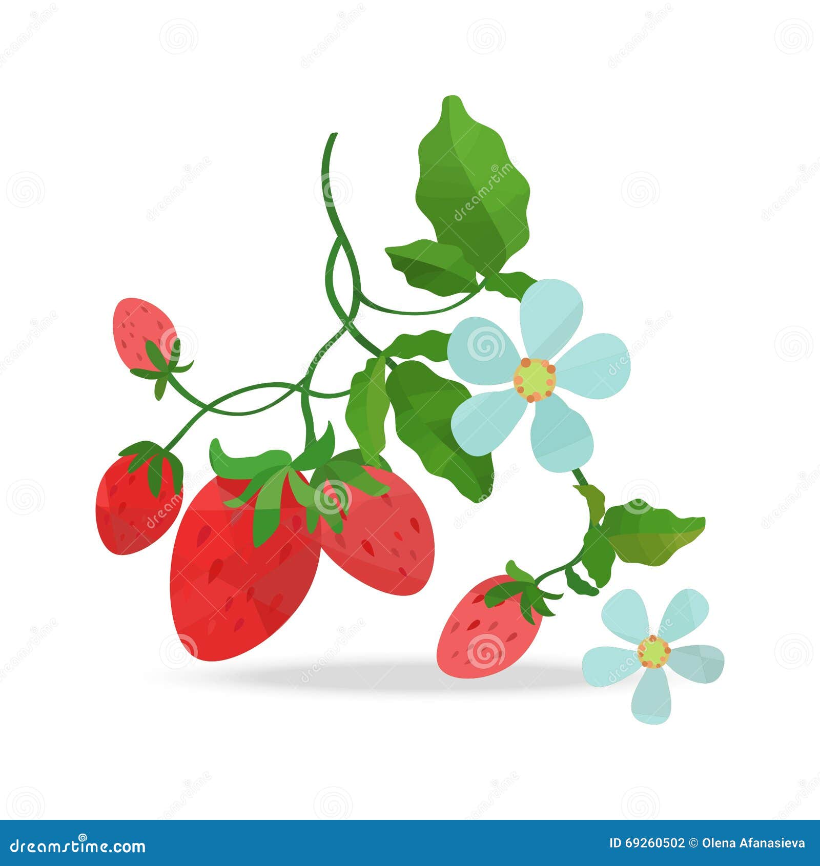 Wild strawberry and flower stock vector. Illustration of blue 69260502