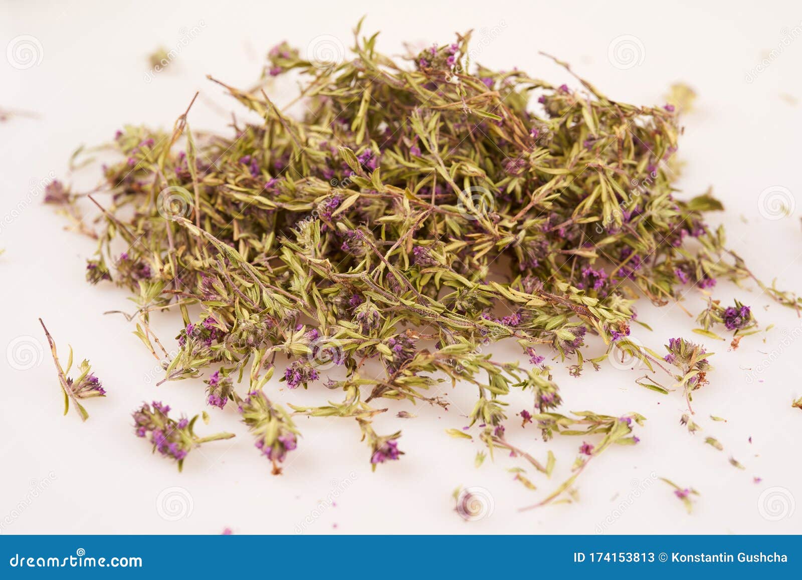 Wild thyme flowers stock image. Image of medicine, organic 174153813