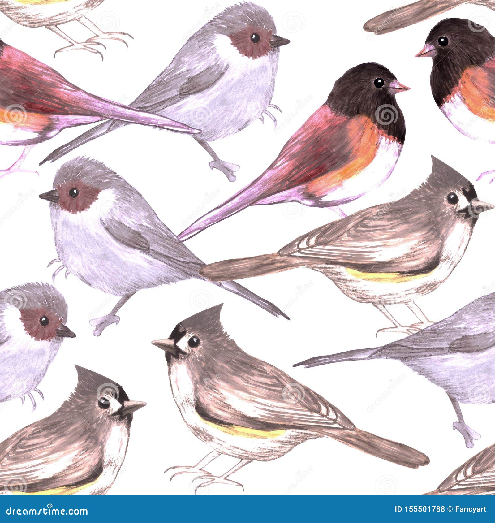 wild titmouses bushtits and juncos seamless watercolor background