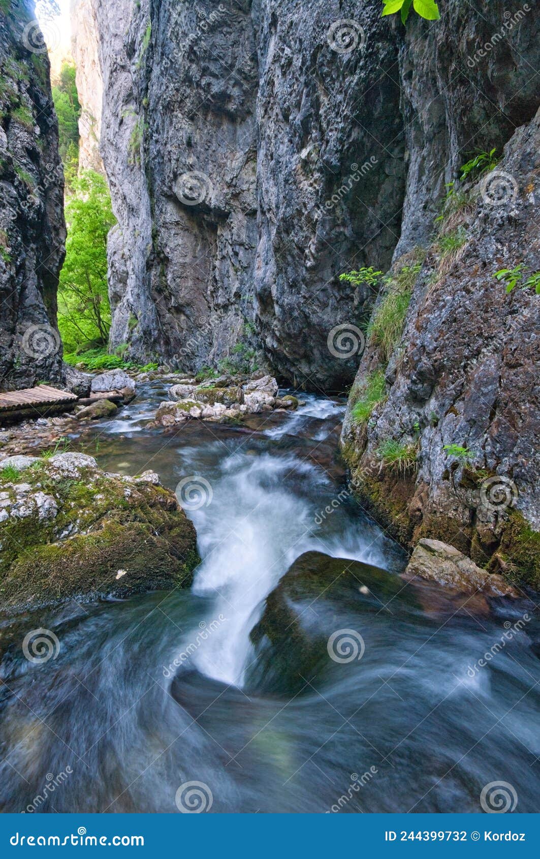 wild water stream in prosiecka dolina valley in chocske vrchy