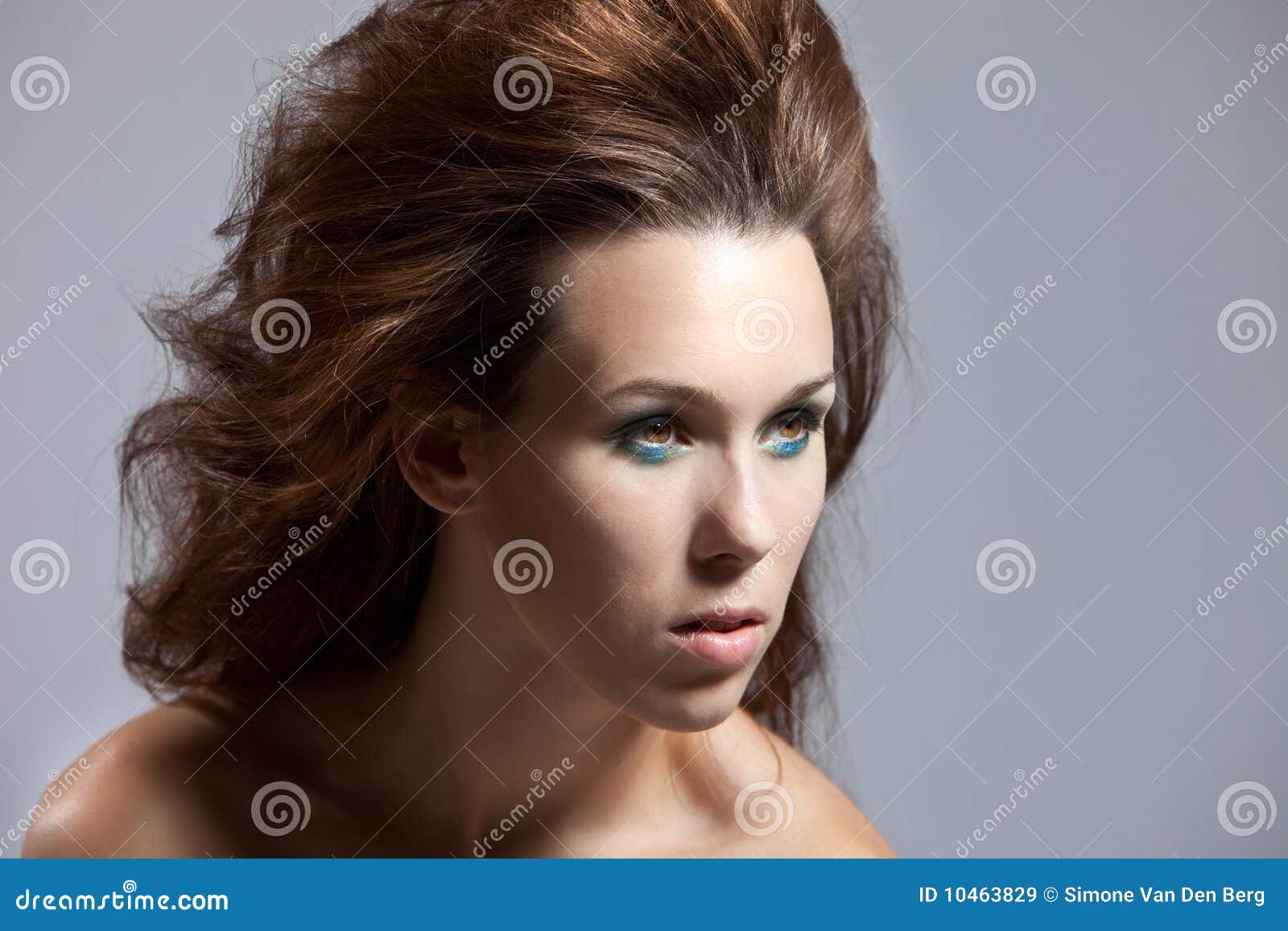 Wilde Frisur Stockbild Bild Von Wild Frauen Frau Brunette 10463829