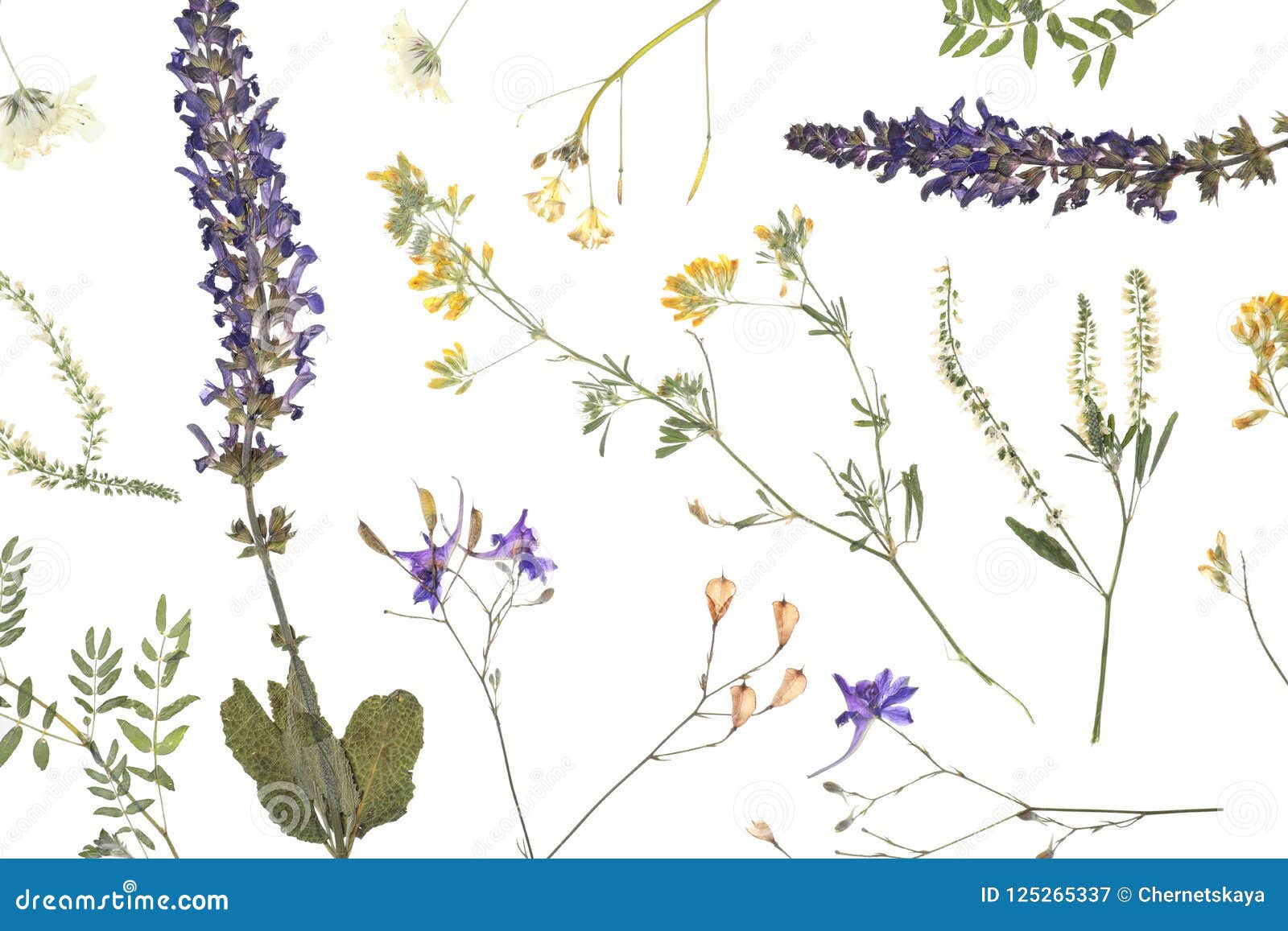 Hunter Botanisch Tischdecke Wiesenblumen Zeichnung 