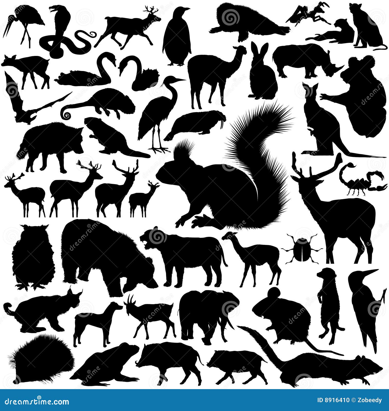 Wilde Tier-Schattenbilder Stockfoto - Bild: 8916410