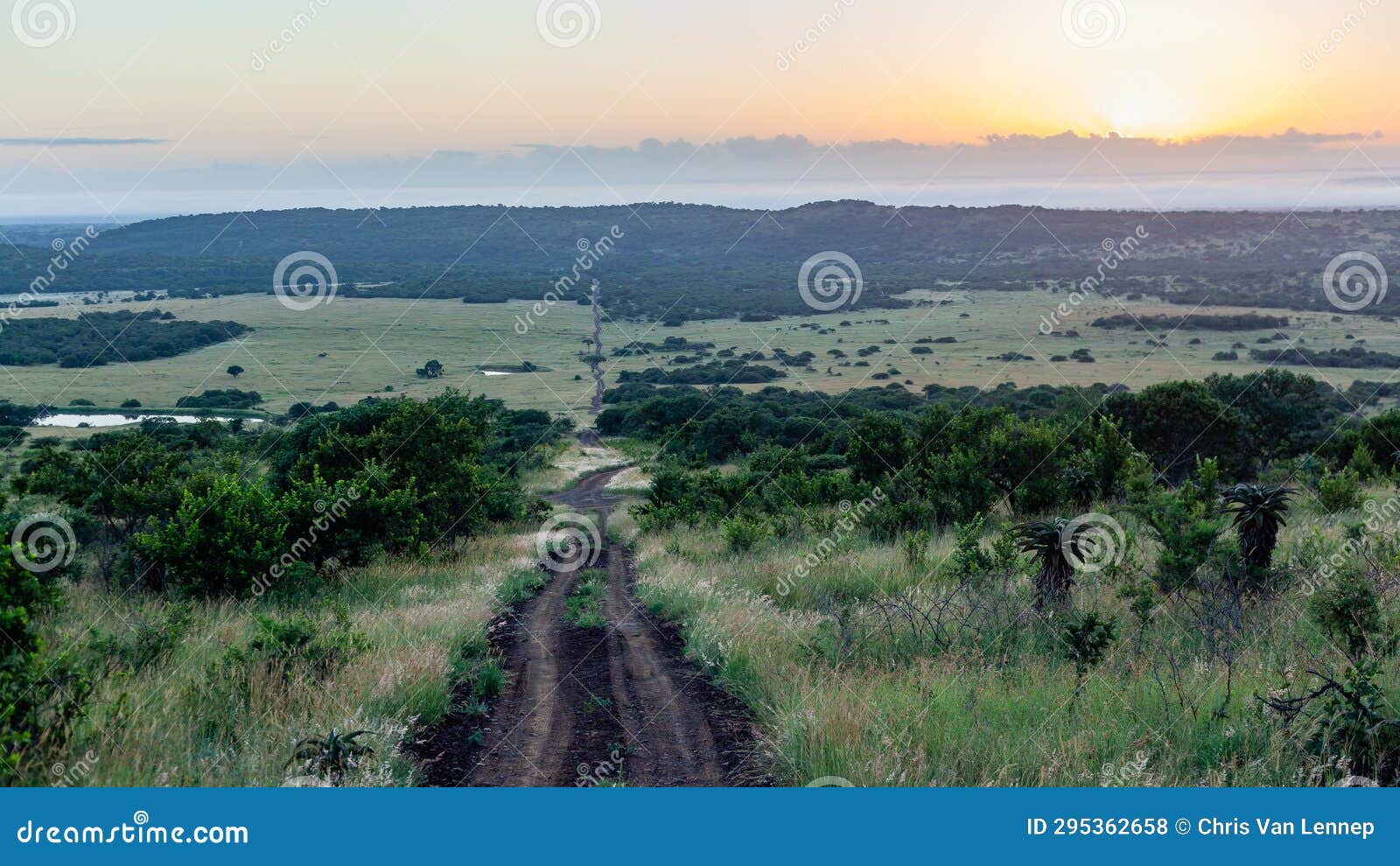 Wilderness Dirt Road Valley Grasslands Wildlife Stock Photo Image of