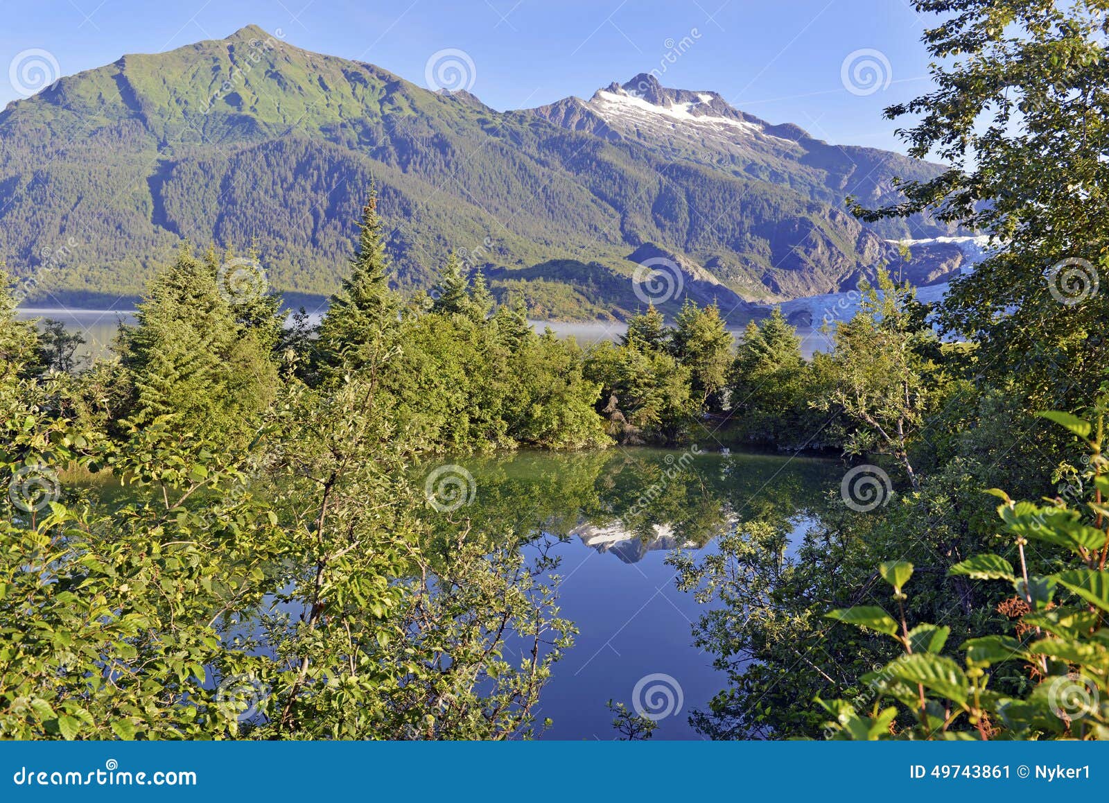 Wilderness scene in Alaska stock image. Image of pristine 49743861