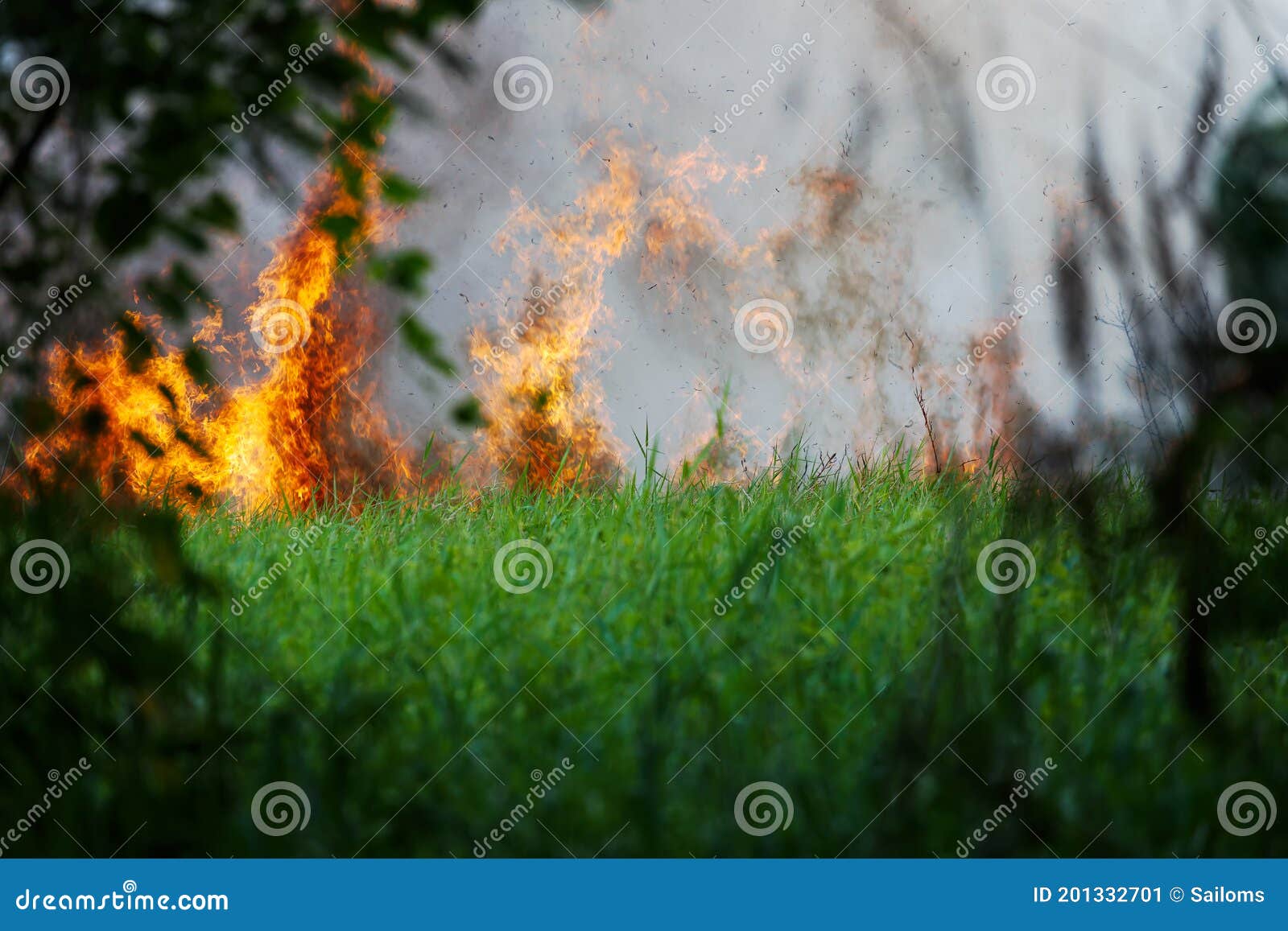 Wildfire, Forest Fire, Burning Forest, Field Fire Stock Image Image