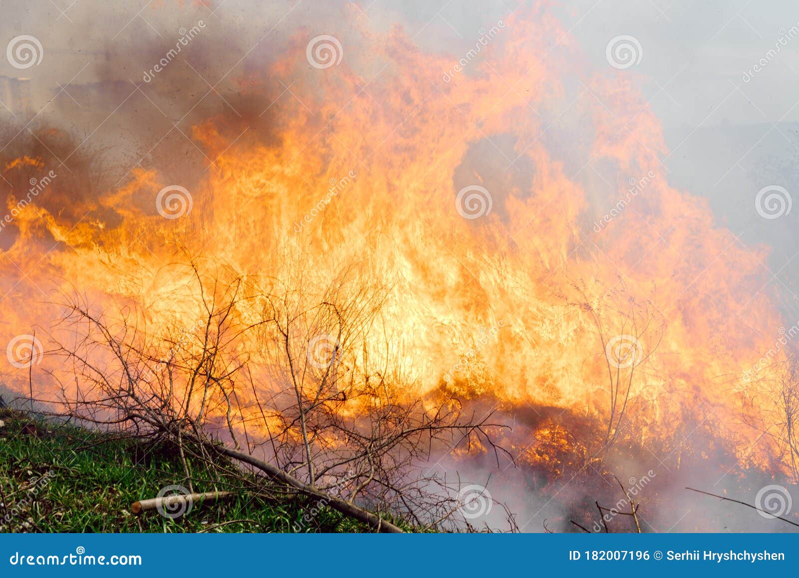 Wildfire, Forest Fire, Burning Forest, Field Fire Stock Photo Image