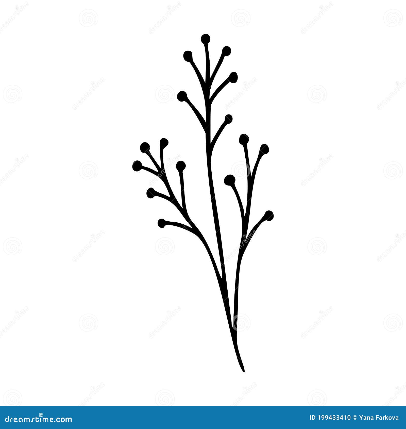 wildflower outline hand drawn . herbs doodle botanical icon. herbal and meadow plant, grass