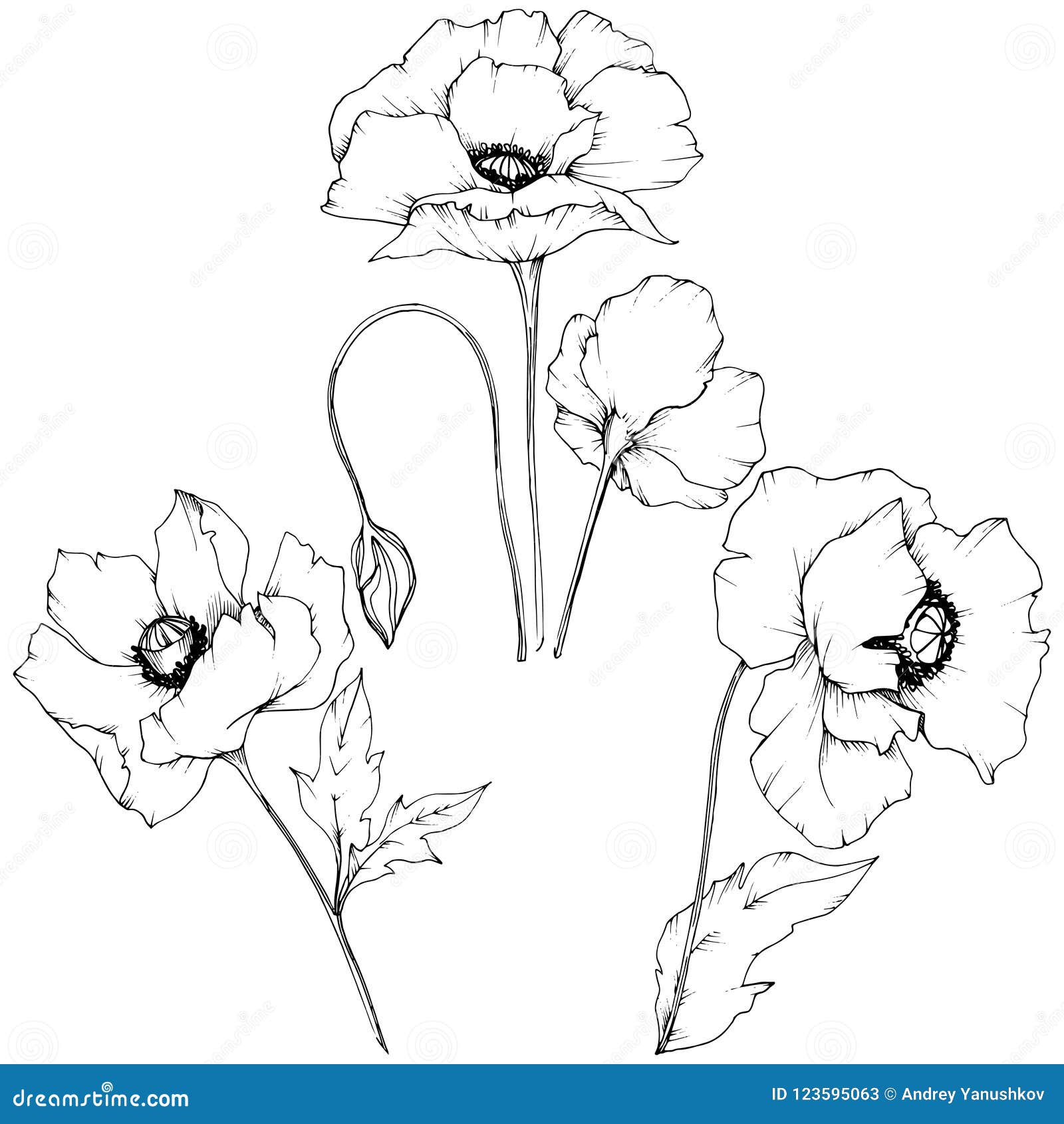 Wildflower Poppy in a Vector Style Isolated. Stock Vector ...