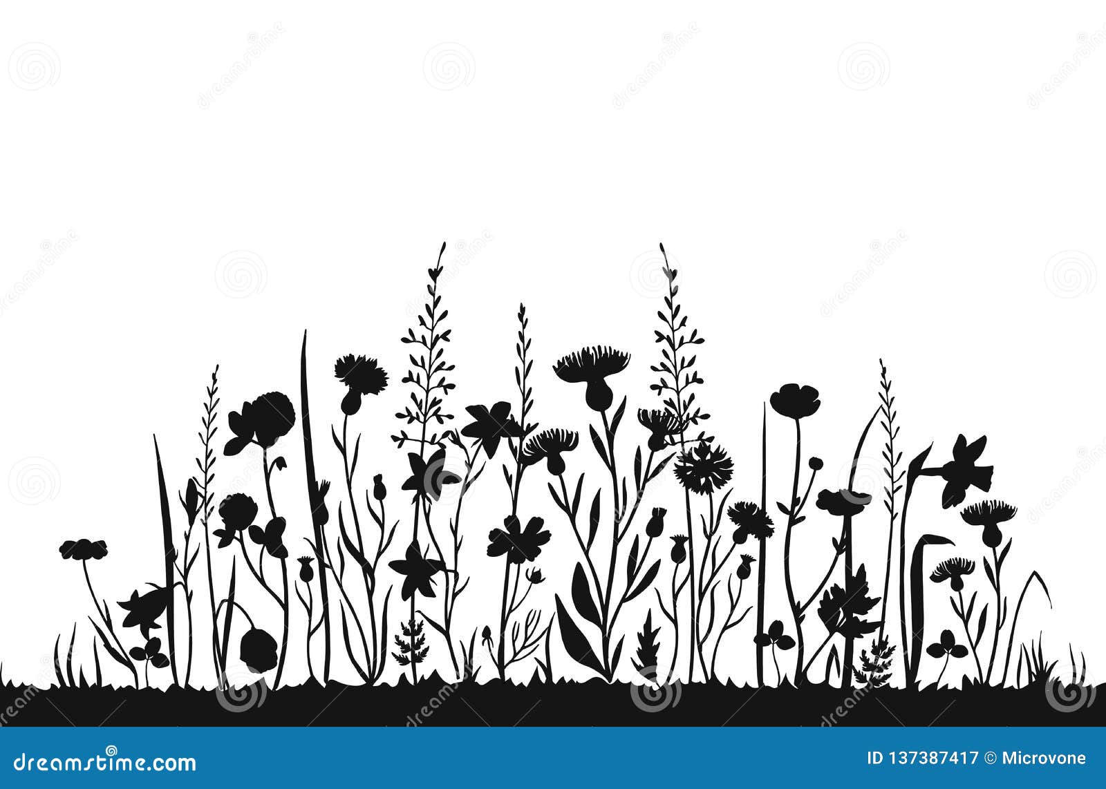 wildflower silhouettes. wild grass spring field. herbal summer  background