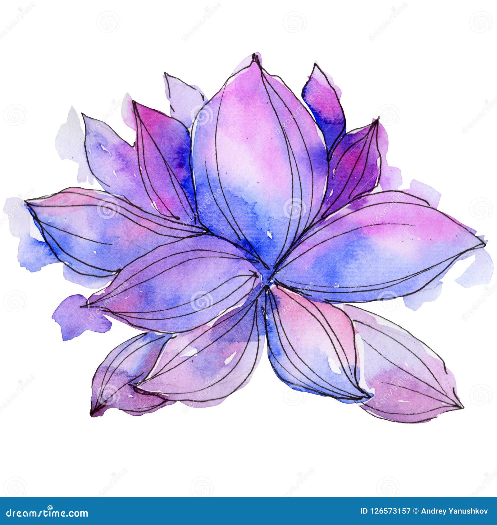 Hoa sen tím nước sơn mài là một tác phẩm tuyệt đẹp với sự kết hợp tinh tế giữa nét vẽ và màu sắc. Thưởng thức những bức ảnh hoặc bức tranh của hoa sen tím được vẽ nước sơn mài để đắm chìm trong thế giới của nó.
