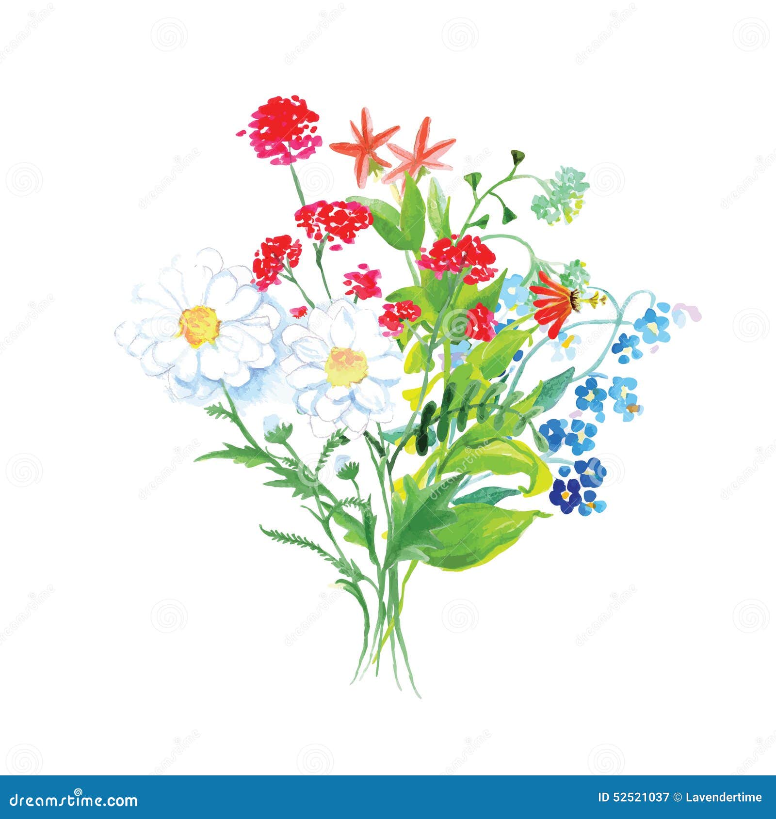 Wildflowers Bouquet Vector Design Set Stock Vector - Illustration of ...