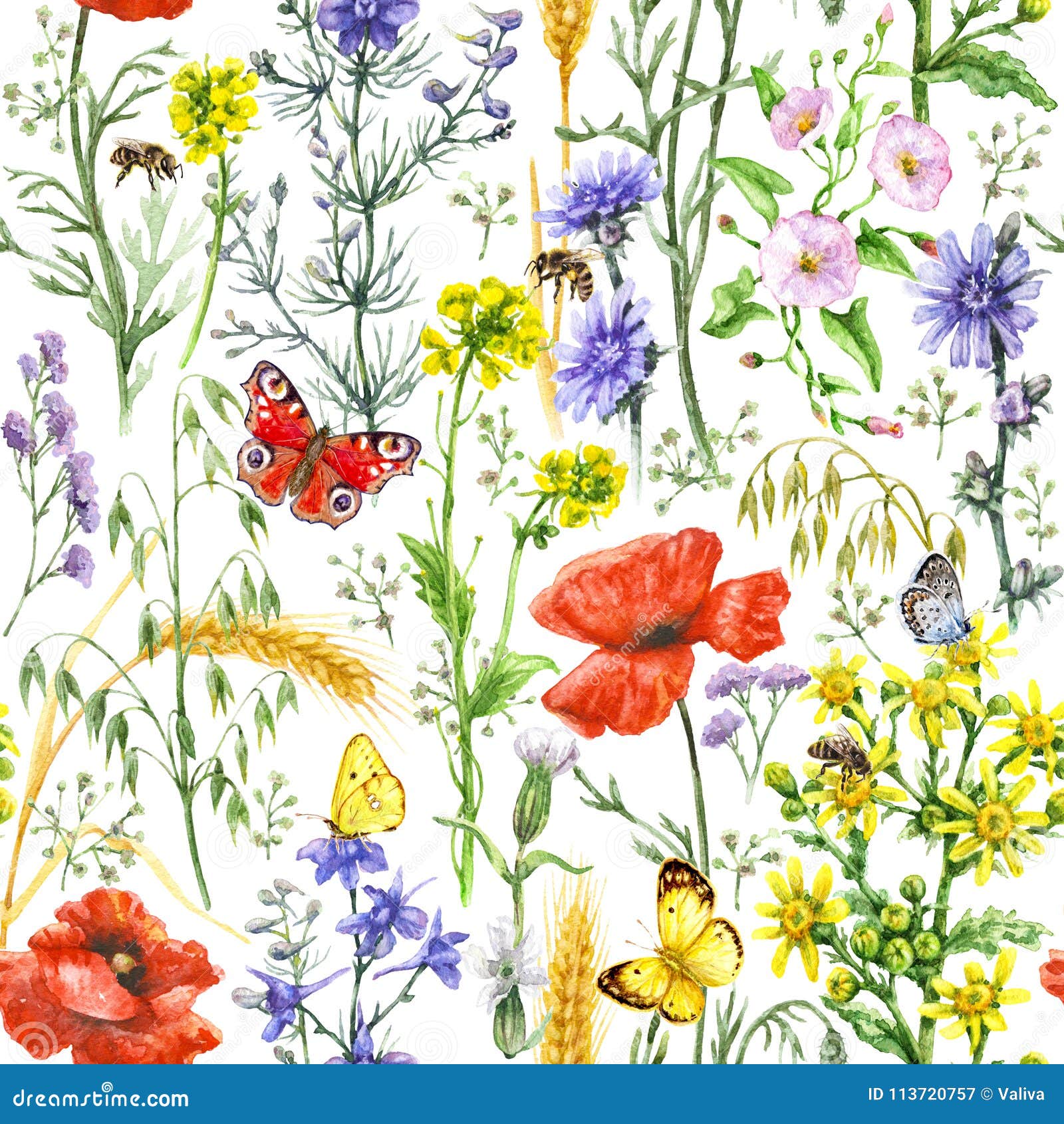 Wildflowers and Insects Pattern Stock Illustration - Illustration of ...