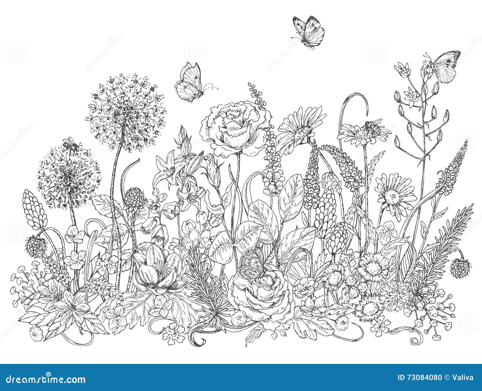 wildflowers and insects sketch