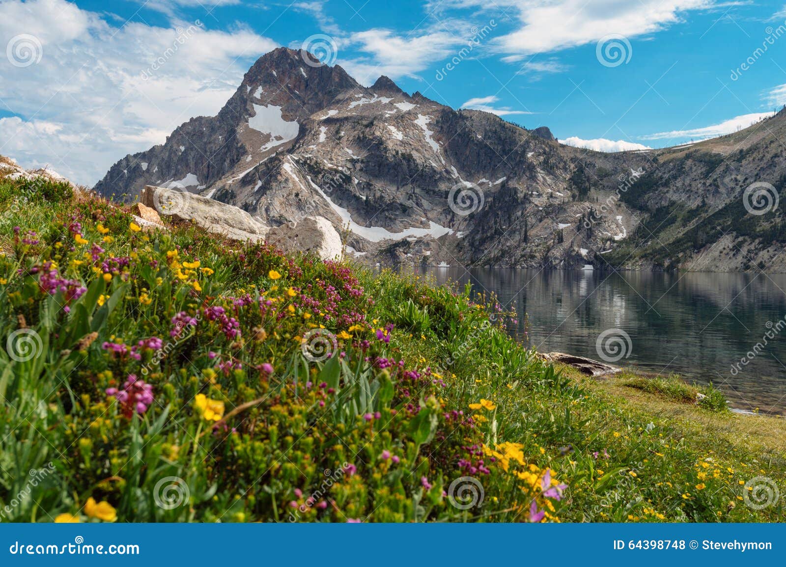 wildflowers at sawtooth lake, idaho