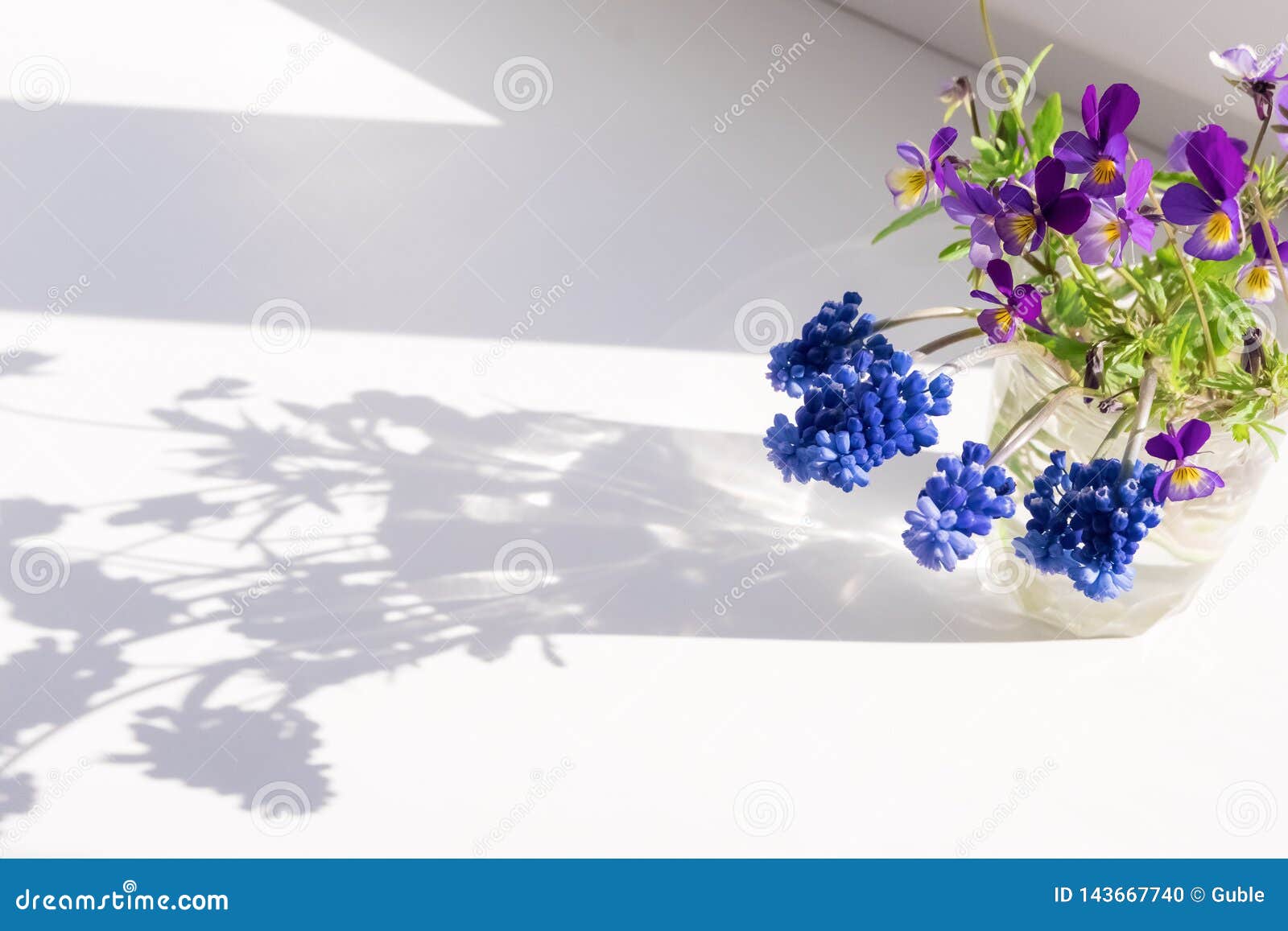Wildflowers on the Window. Sun Shade from the Flowers on the Windowsill